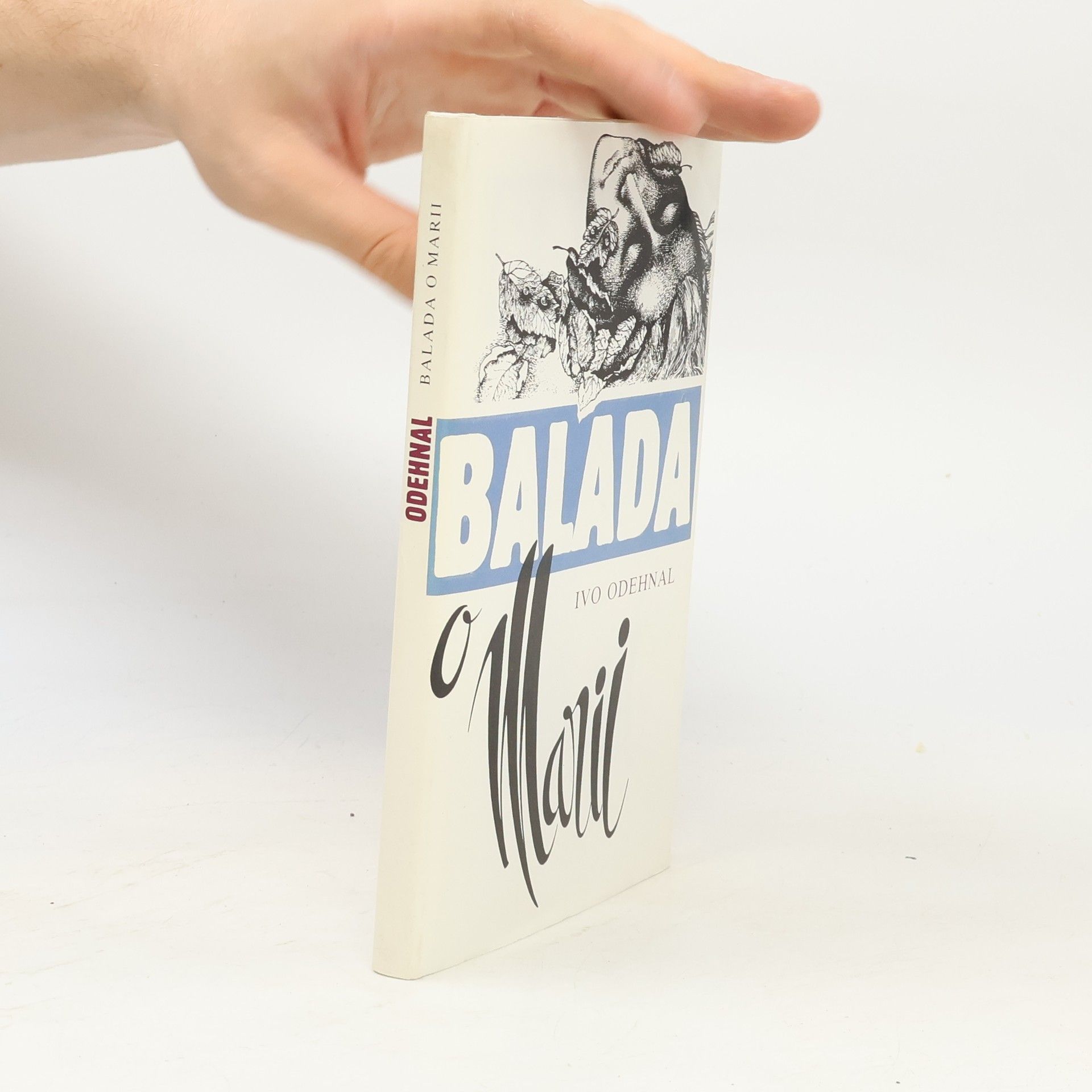 Ivo Odehnal Balada o Marii