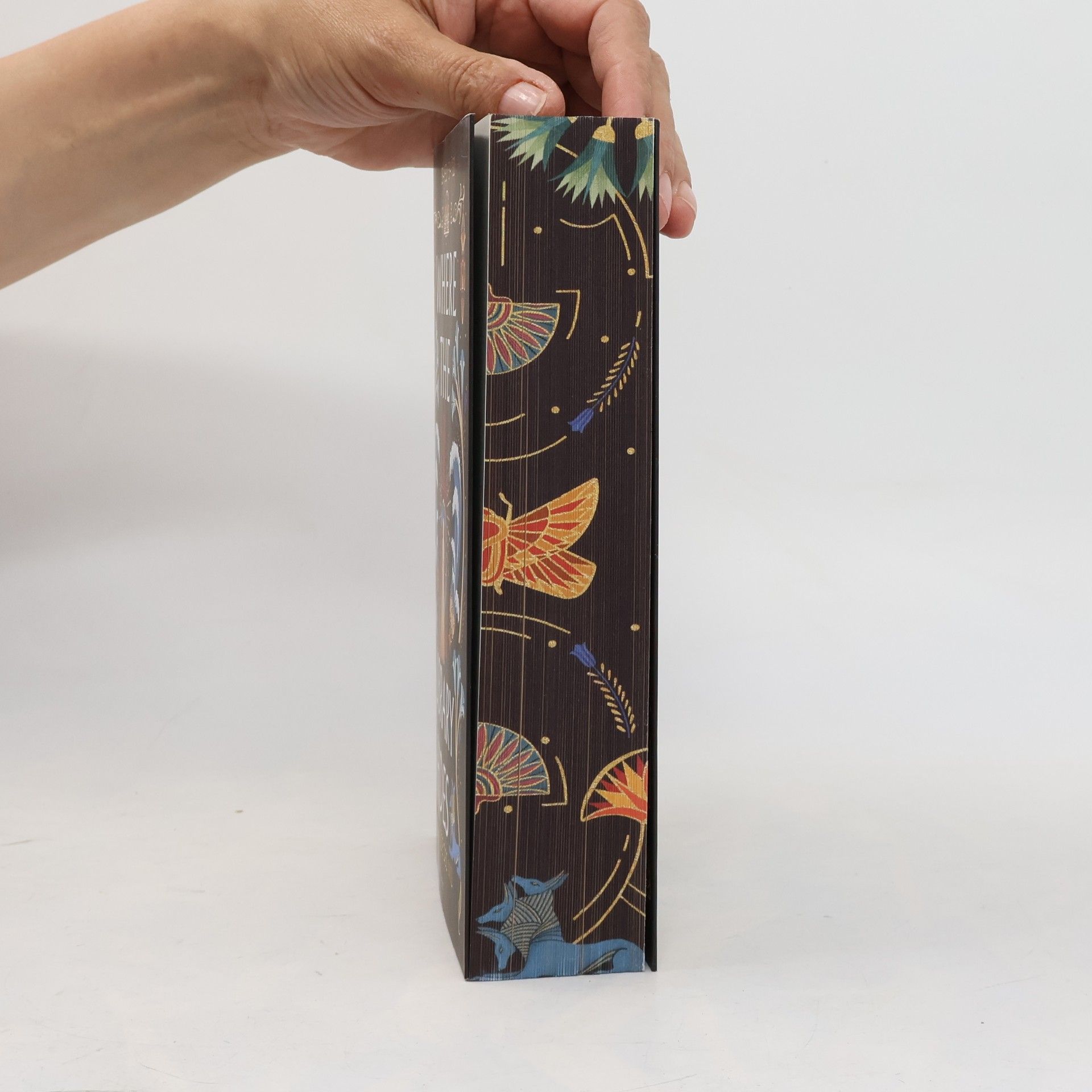 Isabel Ibañez Where the Library Hides