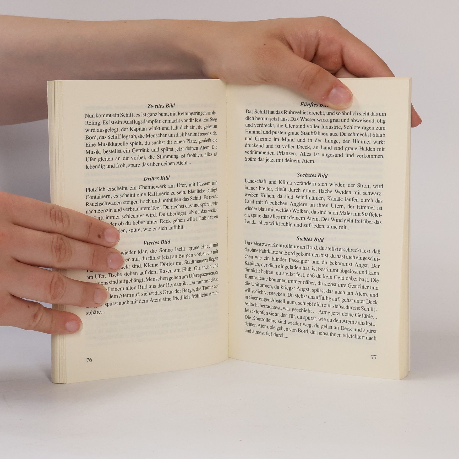 Werner Koch Das Atem-Heilbuch