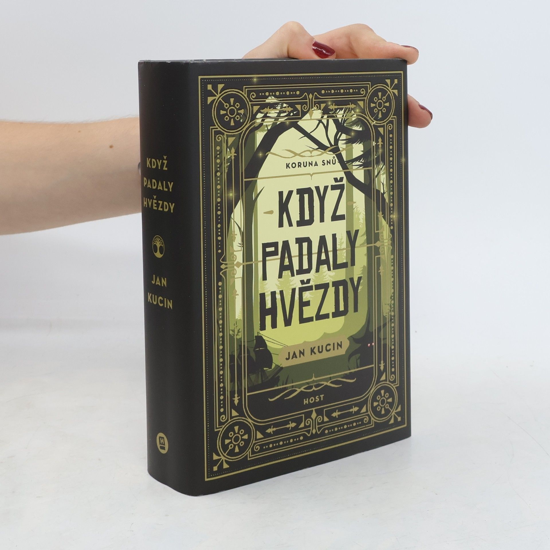 Jan Kucin Koruna snů. Když padaly hvězdy