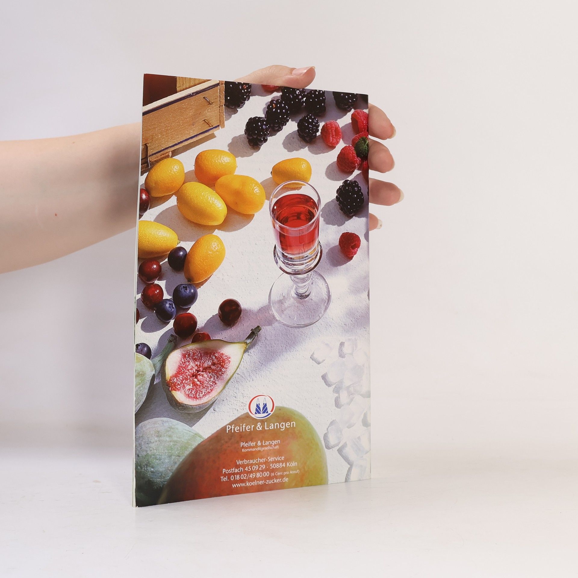 Autorenkollektiv Liköre und Früchte in Alkohol