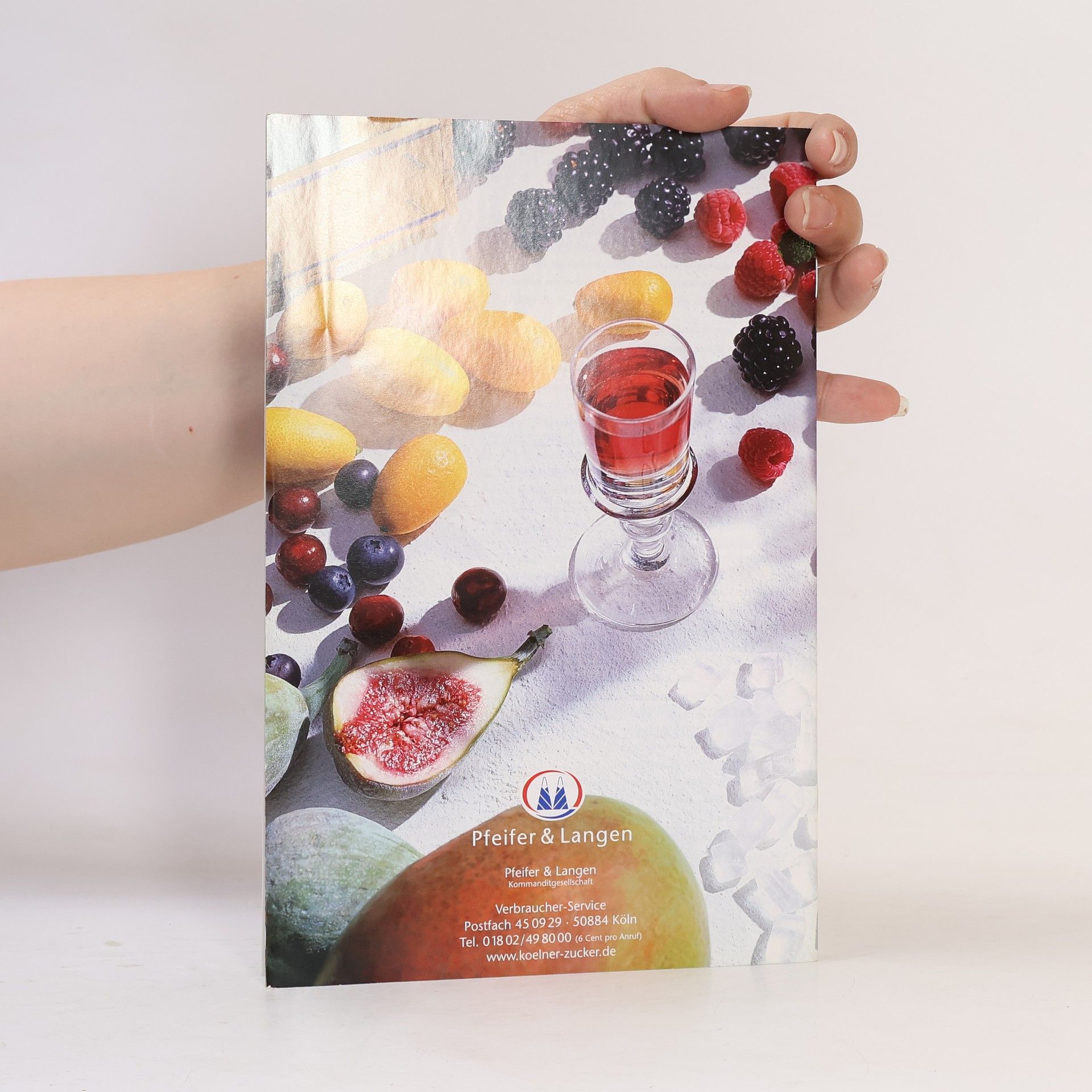 Autorenkollektiv Liköre und Früchte in Alkohol