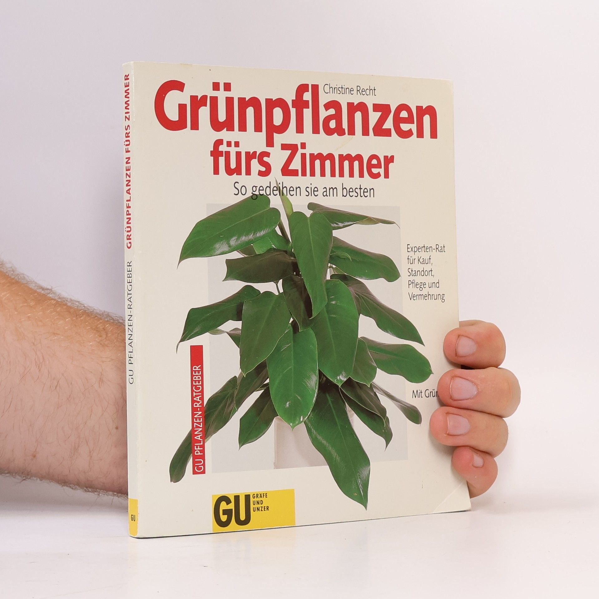 Kolektiv autorů Grünpflanzen fürs Zimmer