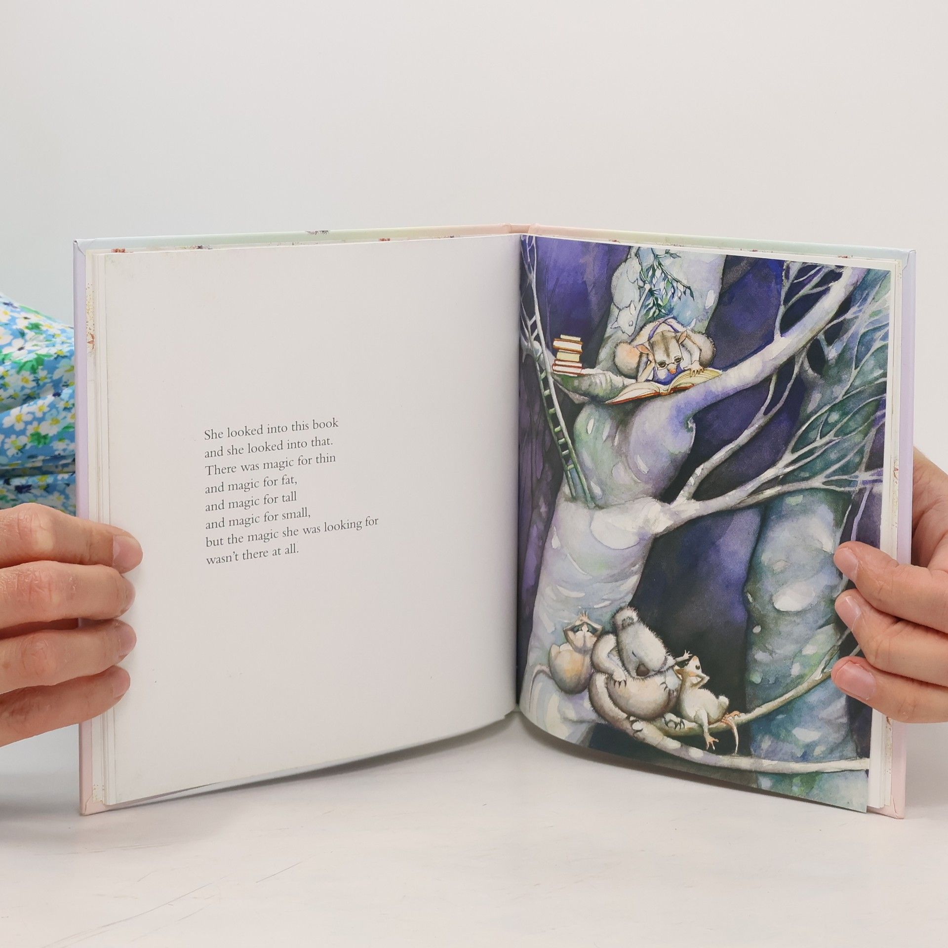 Mem Fox Possum Magic