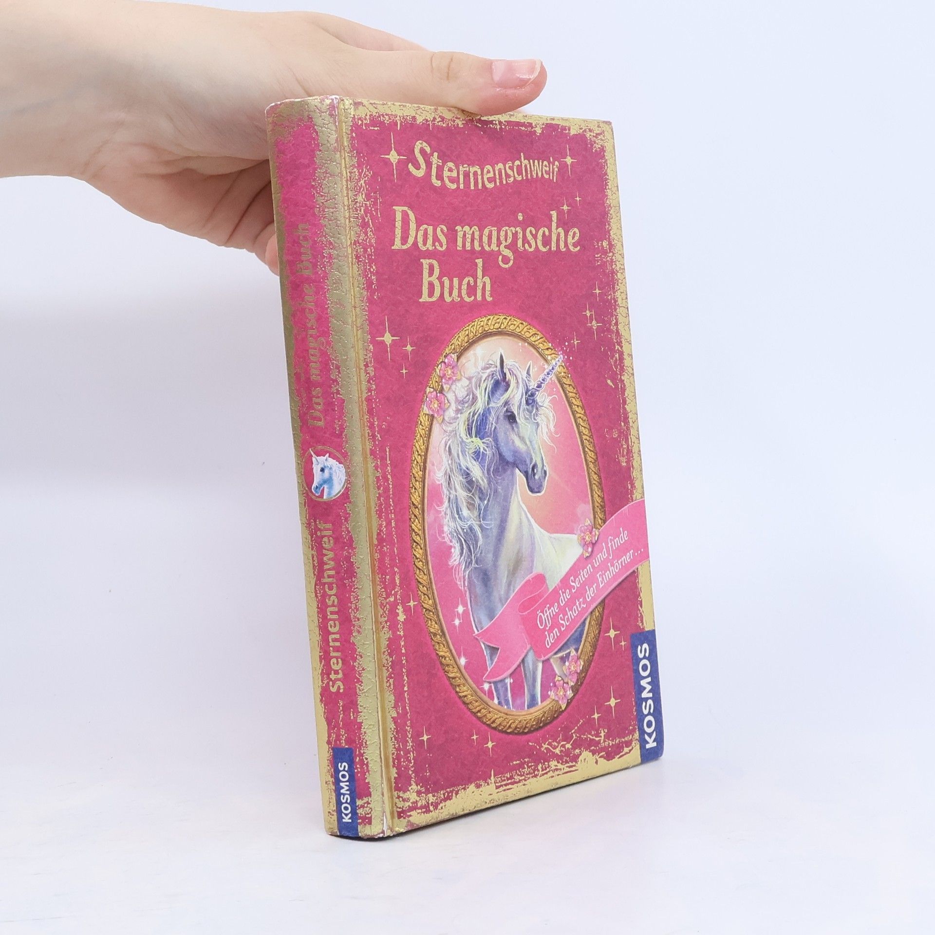 Carolin Ina Schröter Sternenschweif - das magische Buch