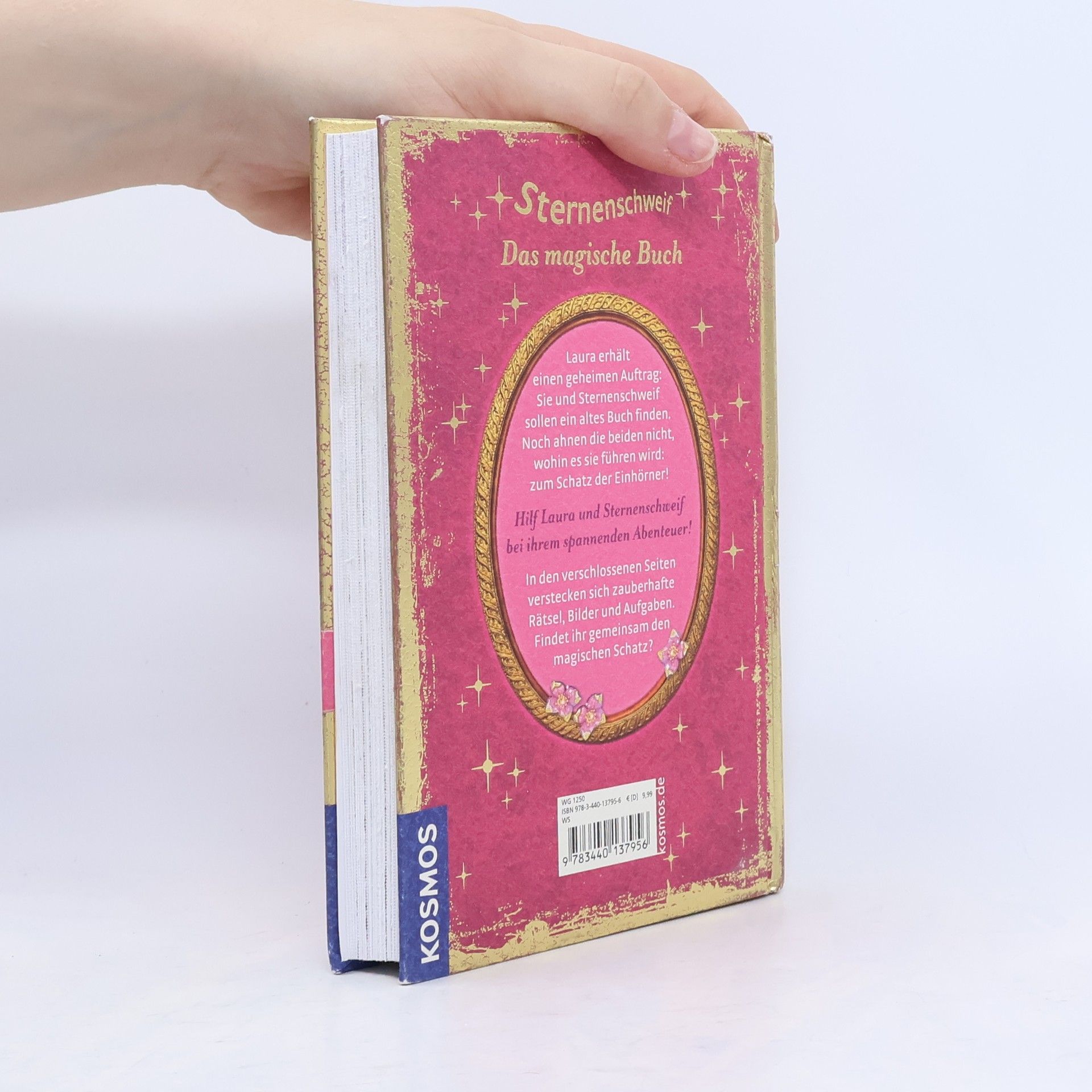 Carolin Ina Schröter Sternenschweif - das magische Buch