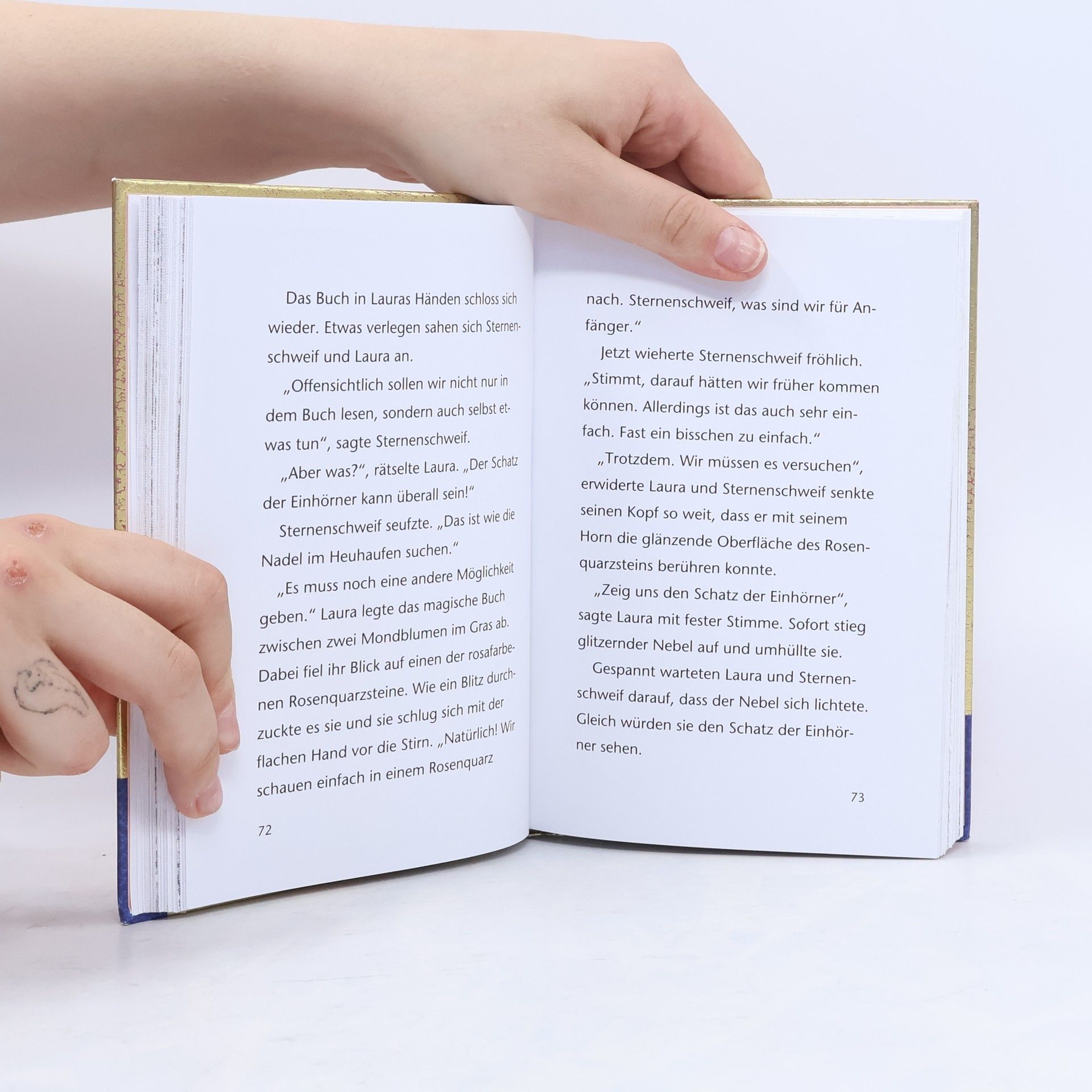 Carolin Ina Schröter Sternenschweif - das magische Buch