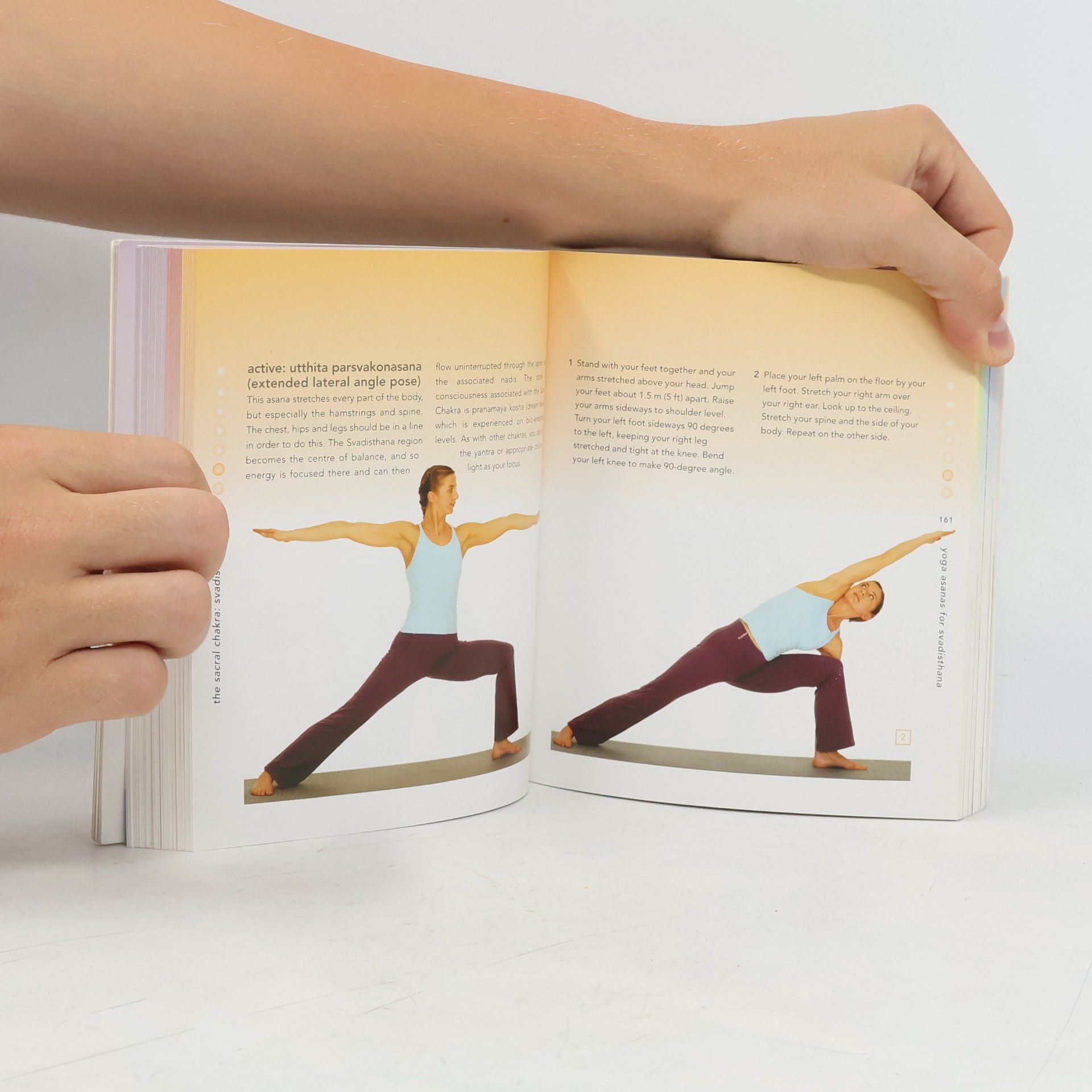 Patricia Mercier The Chakra Bible