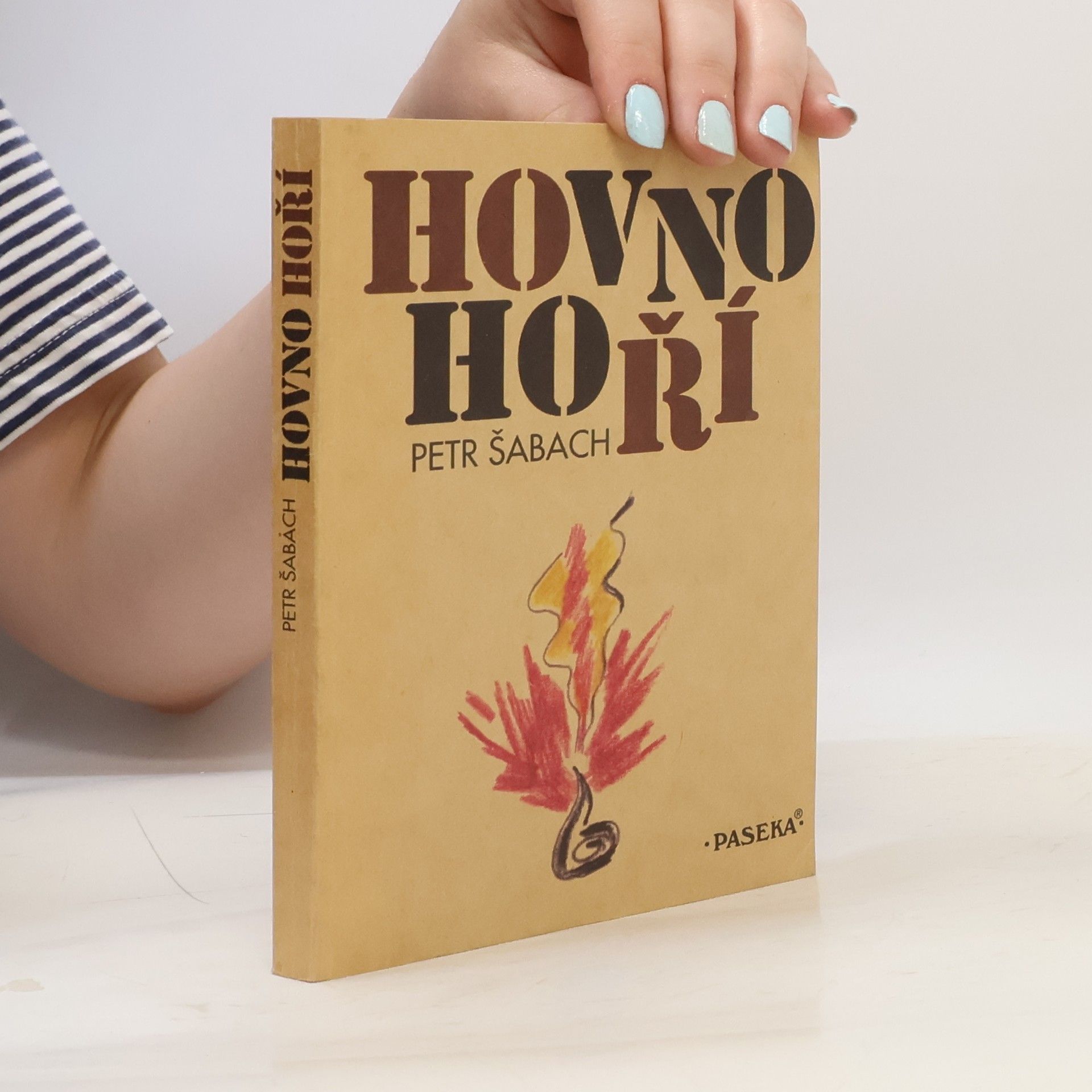 Petr Šabach Hovno hoří
