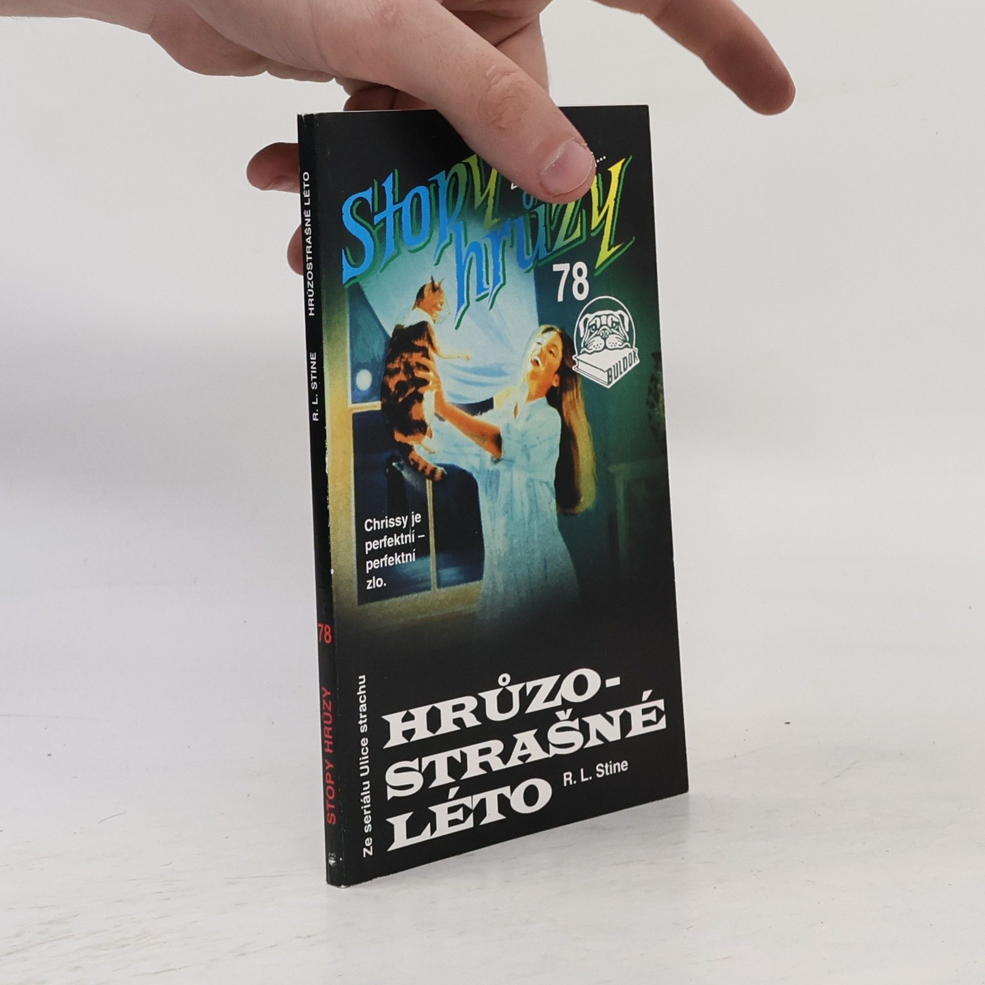 R. L. Stine Hrůzostrašné léto