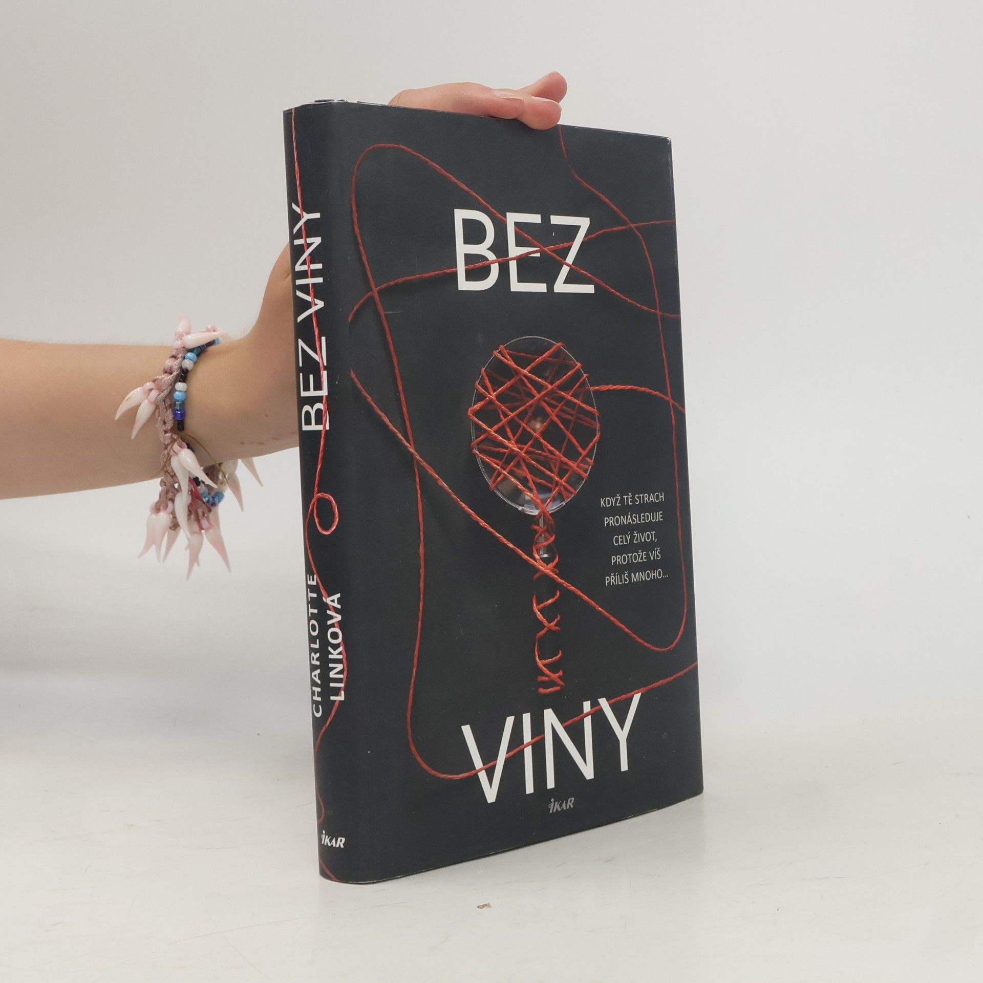 Charlotte Link Bez viny