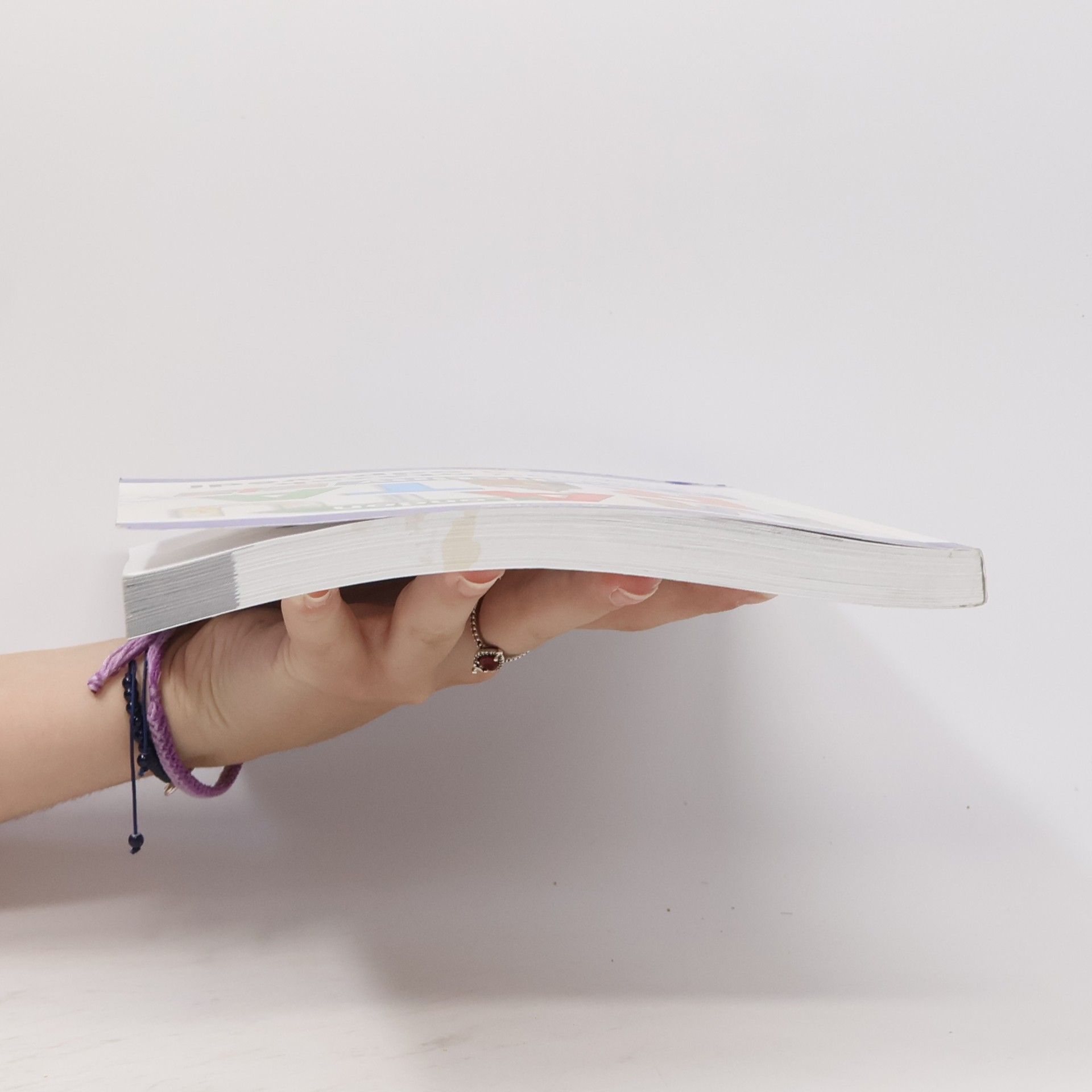 Gabrielle Smith-Dluha Maturita z angličtiny formou otázek a odpovědí