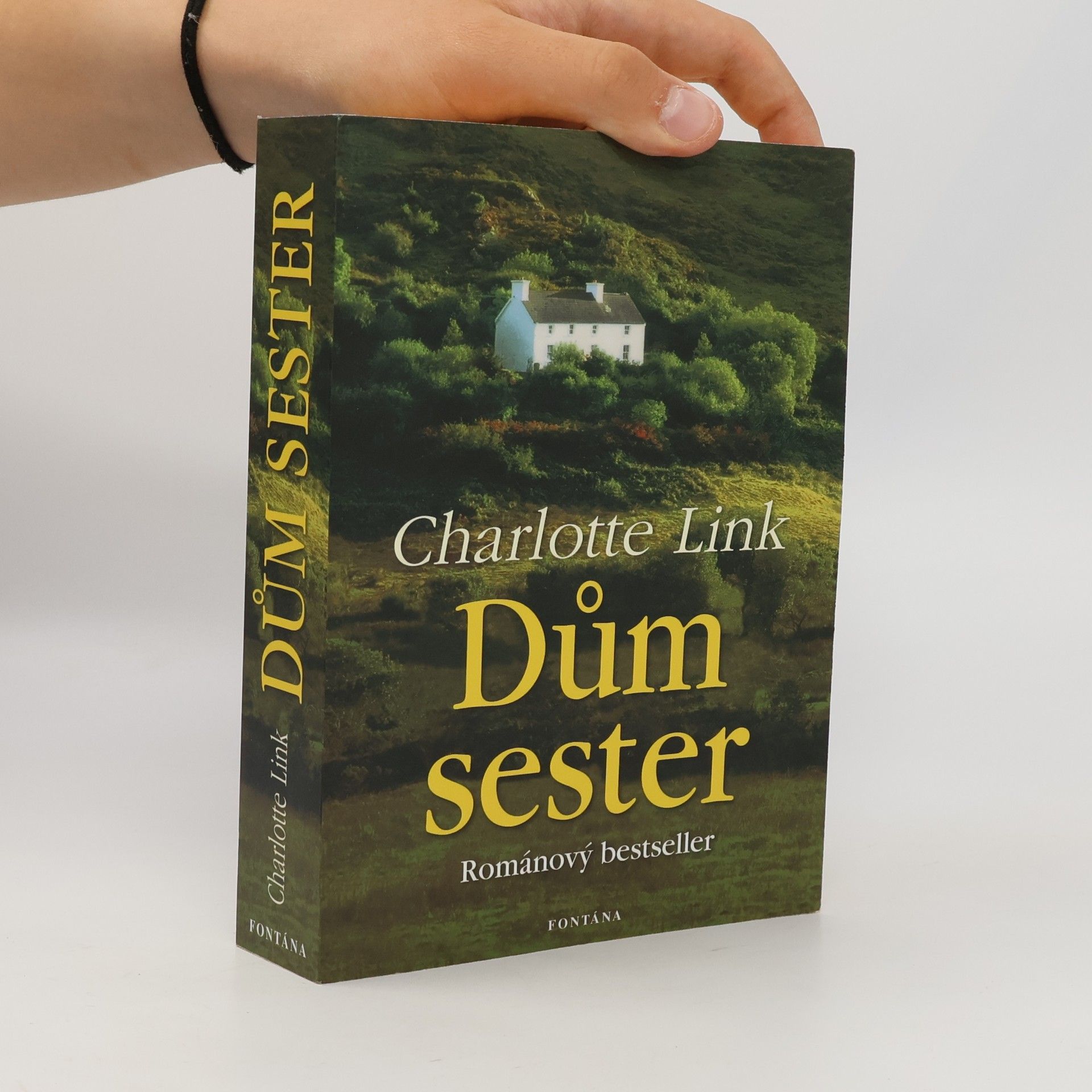 Charlotte Link Dům sester