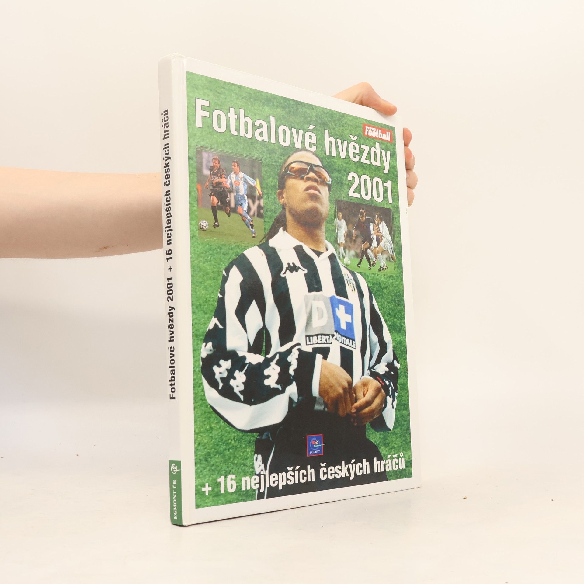 Fotbalové hvězdy 2001