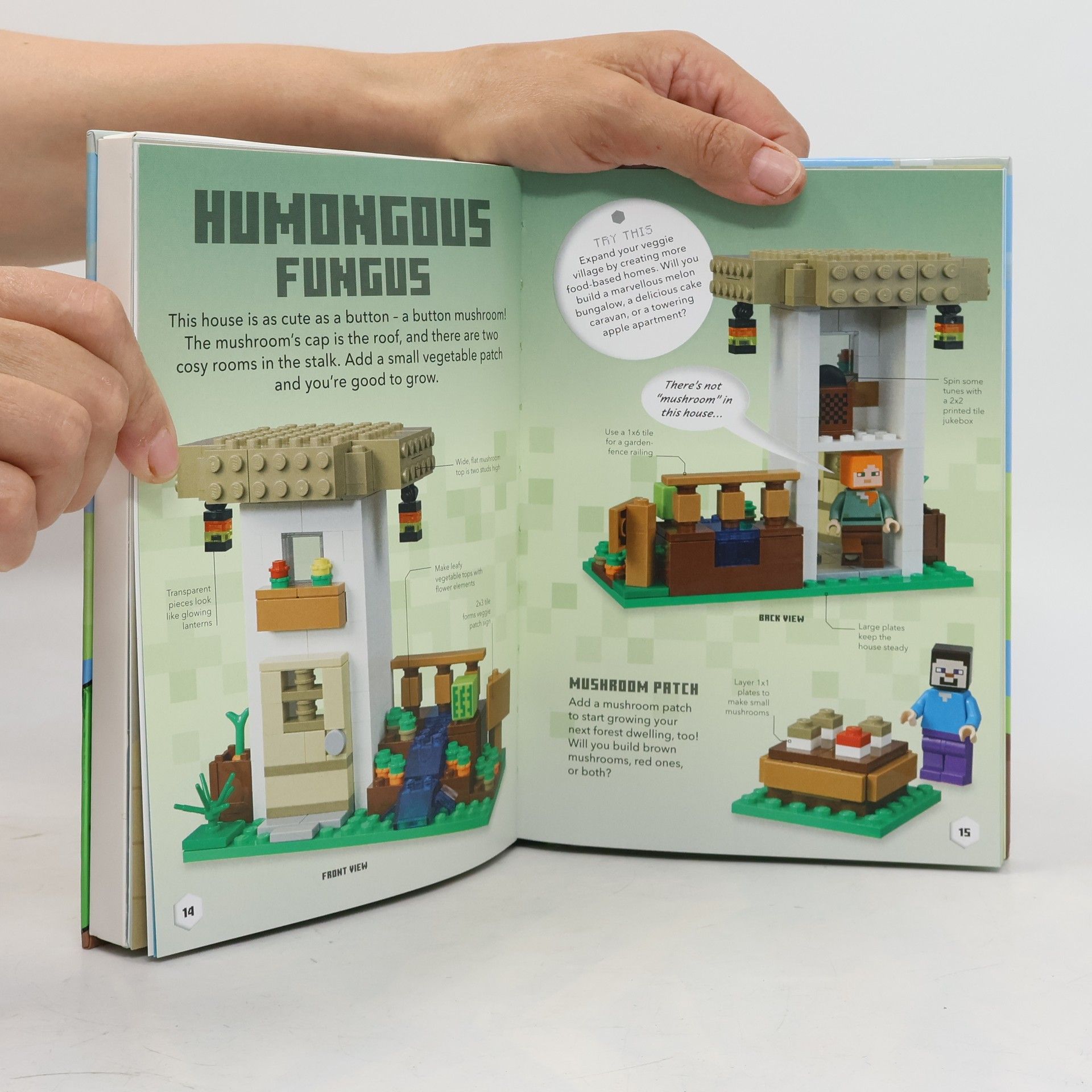 Shari Last LEGO Minecraft Ideas