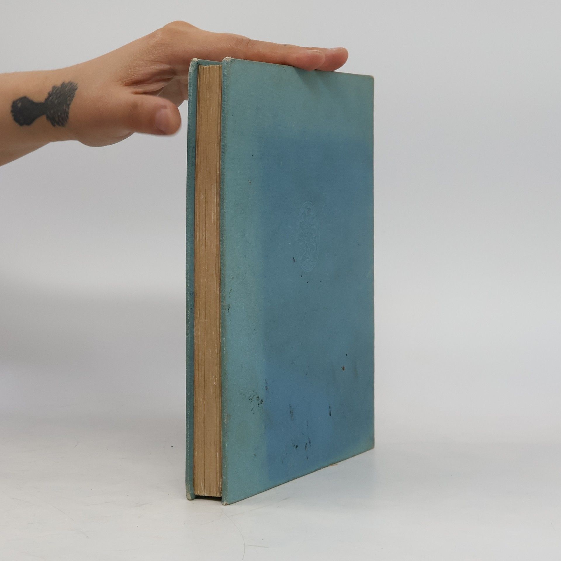 Dore Sarwey Schelmuffsky „Memoiren“ eines Bakfisches