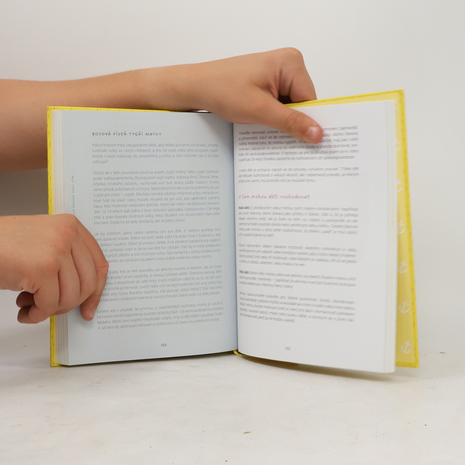 Jan Mühlfeit Rodina jako tým