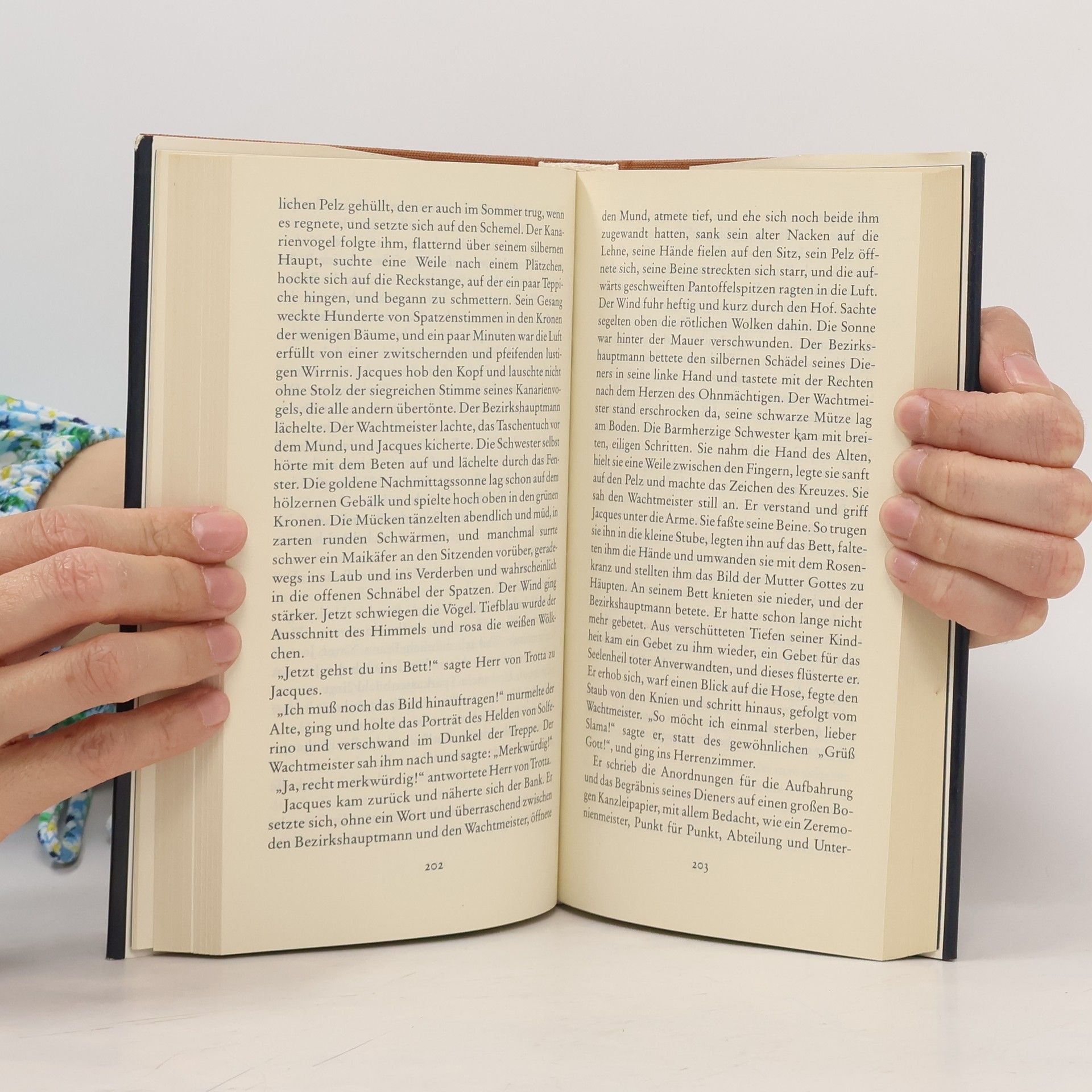 Joseph Roth Radetzkymarsch