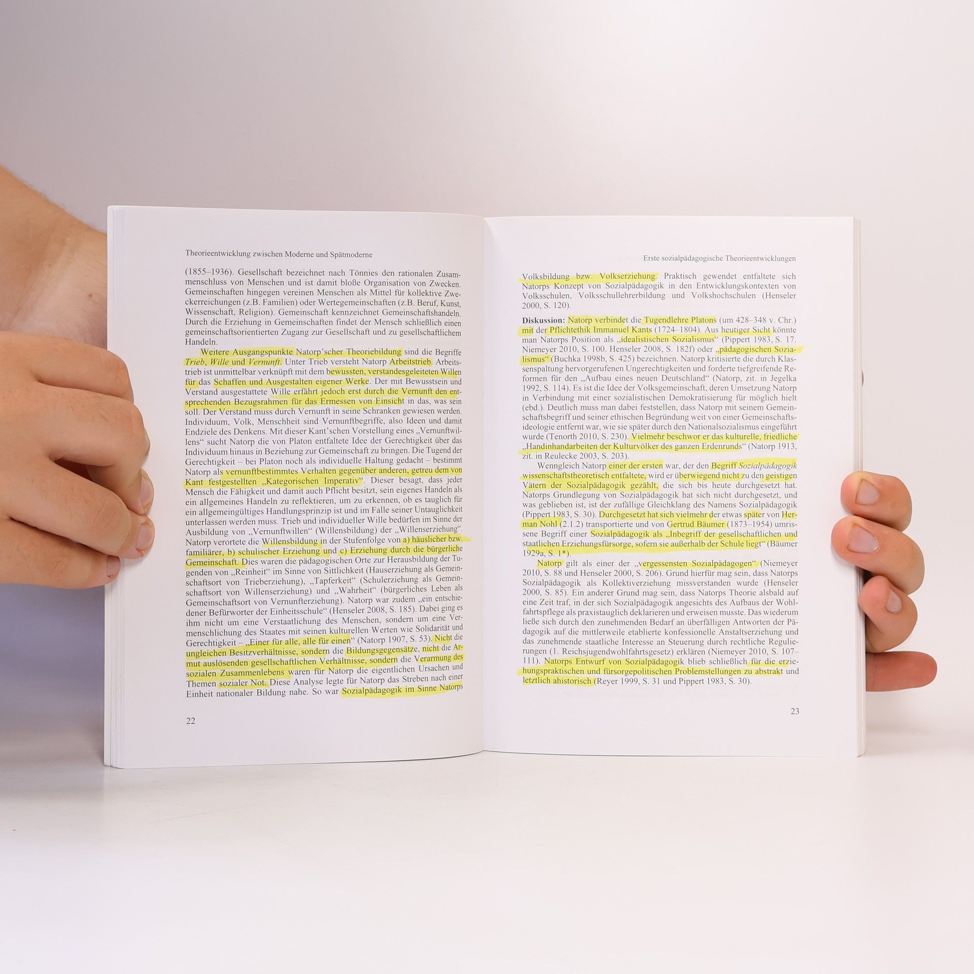 Helmut Lambers Theorien der Sozialen Arbeit - 4. Auflage