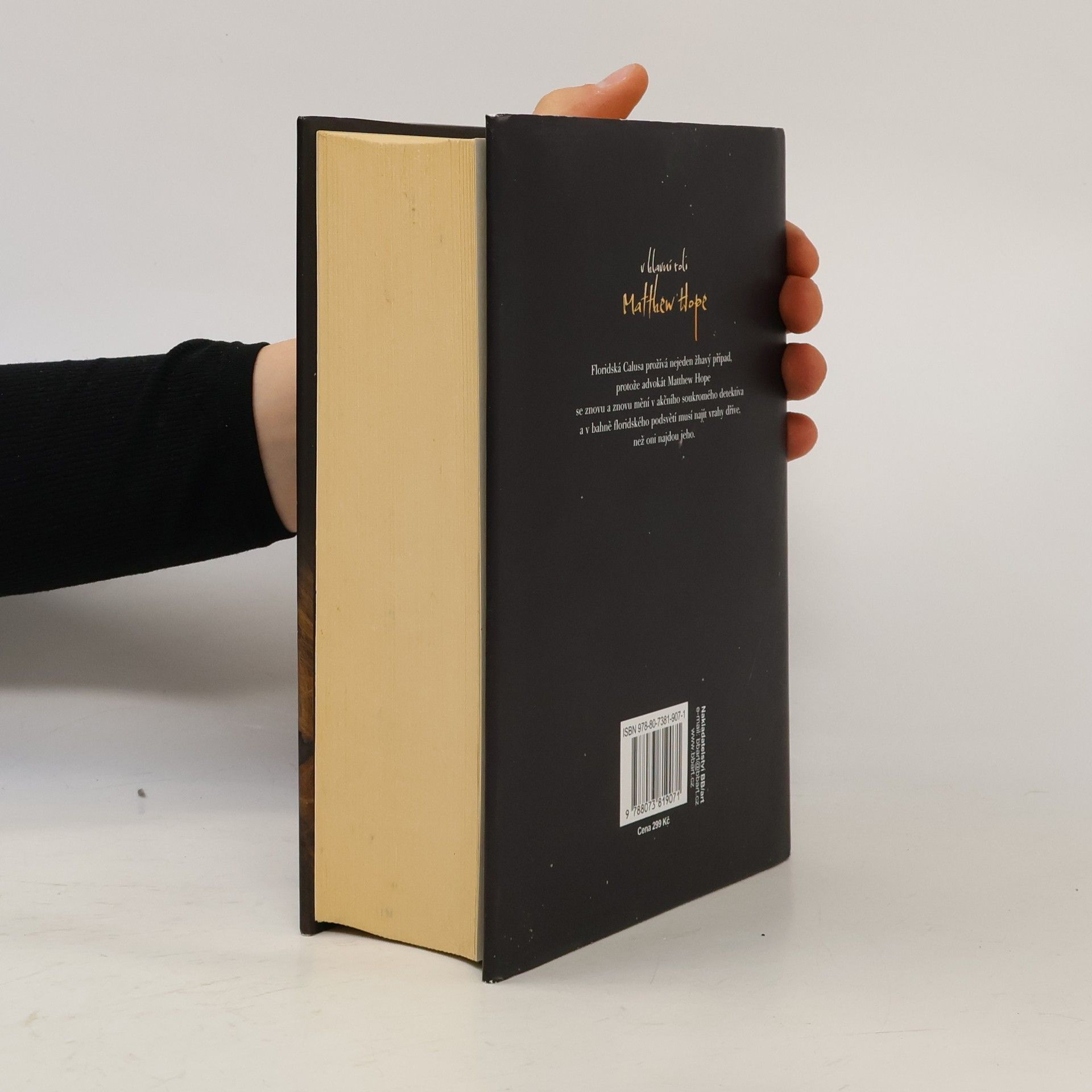 Miroslav Košťál Jack a fazole ; Sněhurka ; Popelka: Ed McBain omnibus