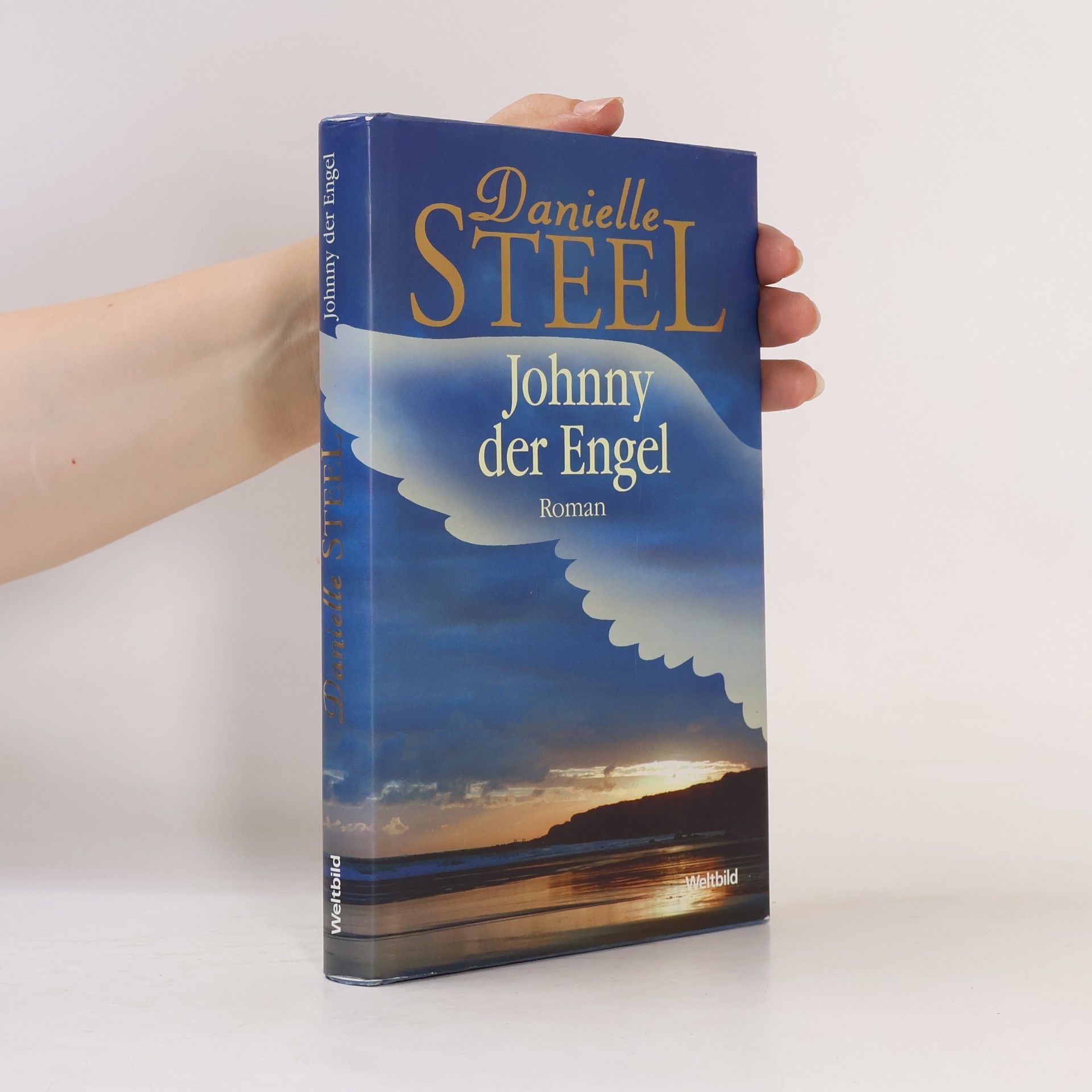 Danielle Steel Johnny der Engel