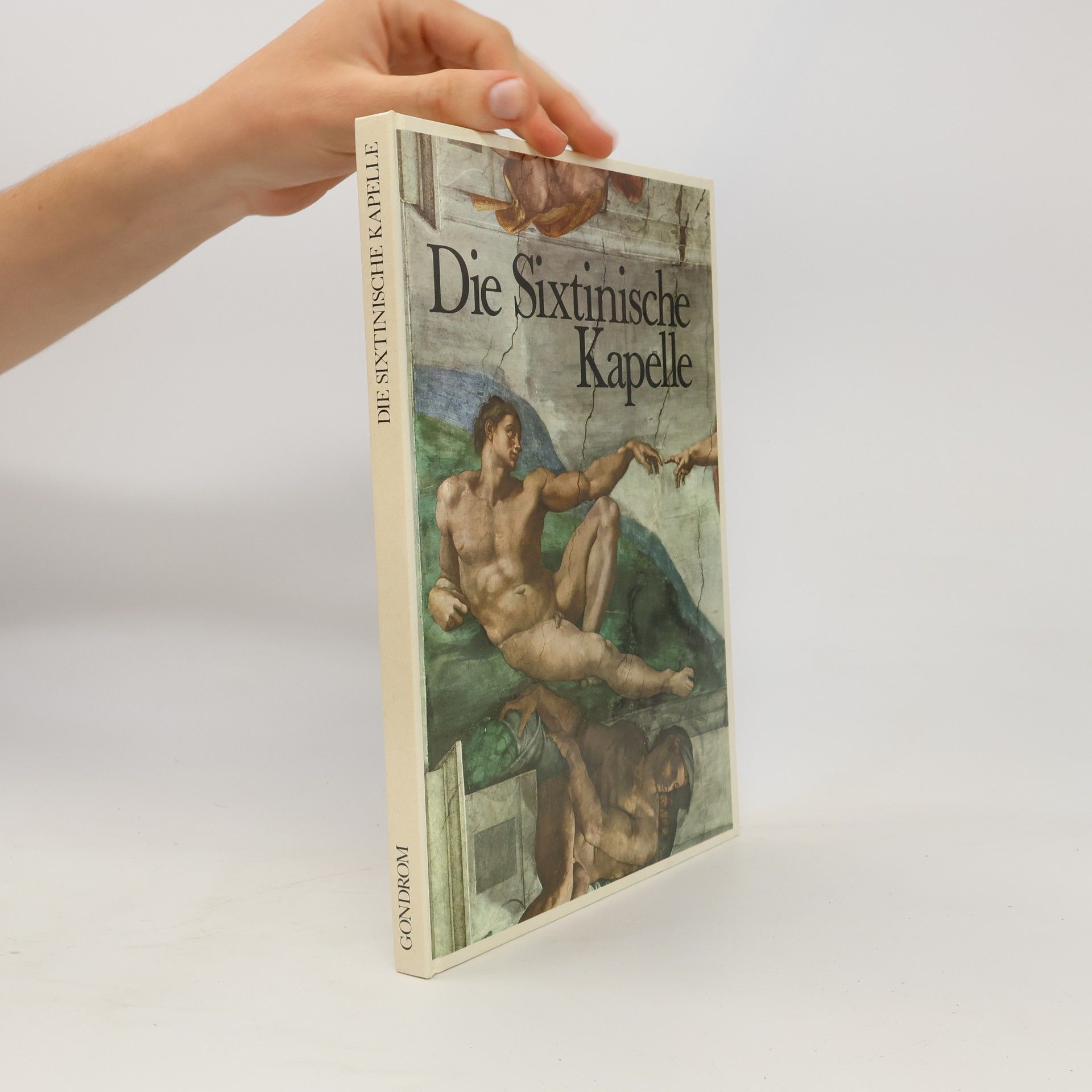 Autores varios Die Sixtinische Kapelle