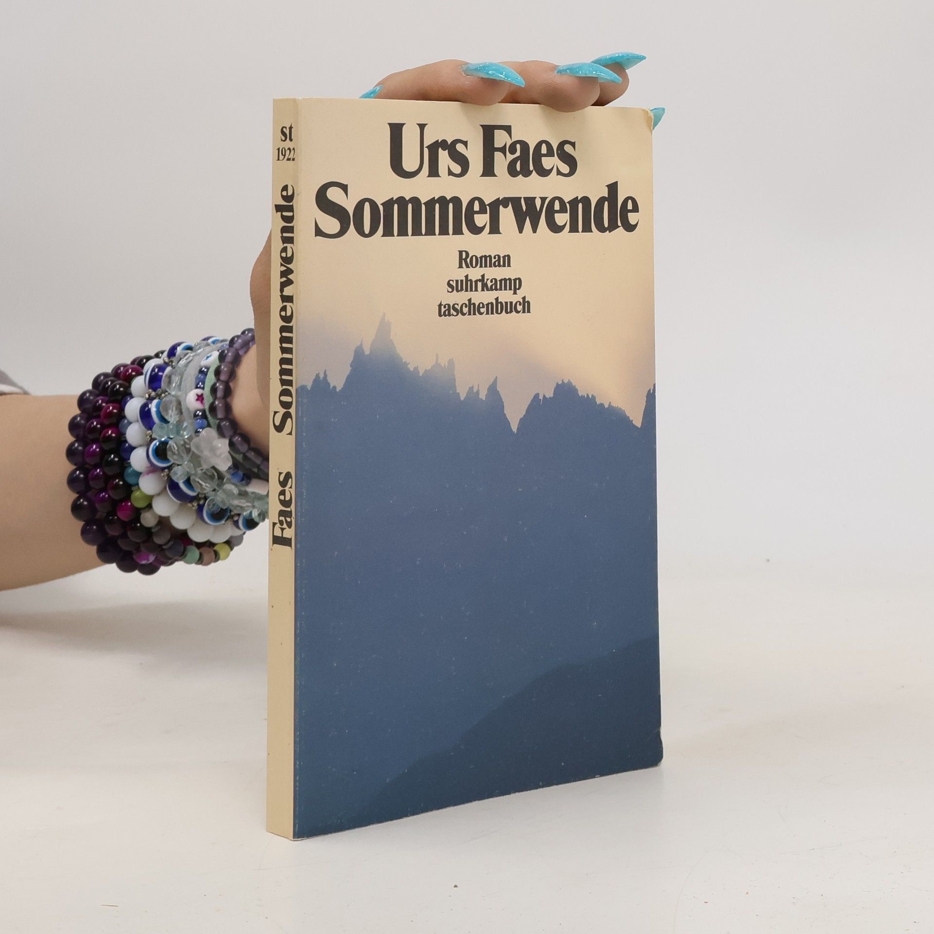 Urs Faes Sommerwende