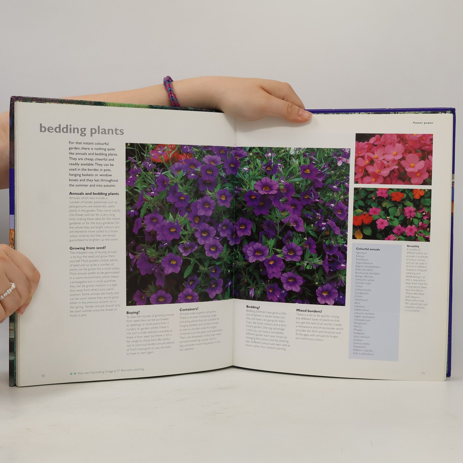 Richard Bird How to Plan a Small Garden