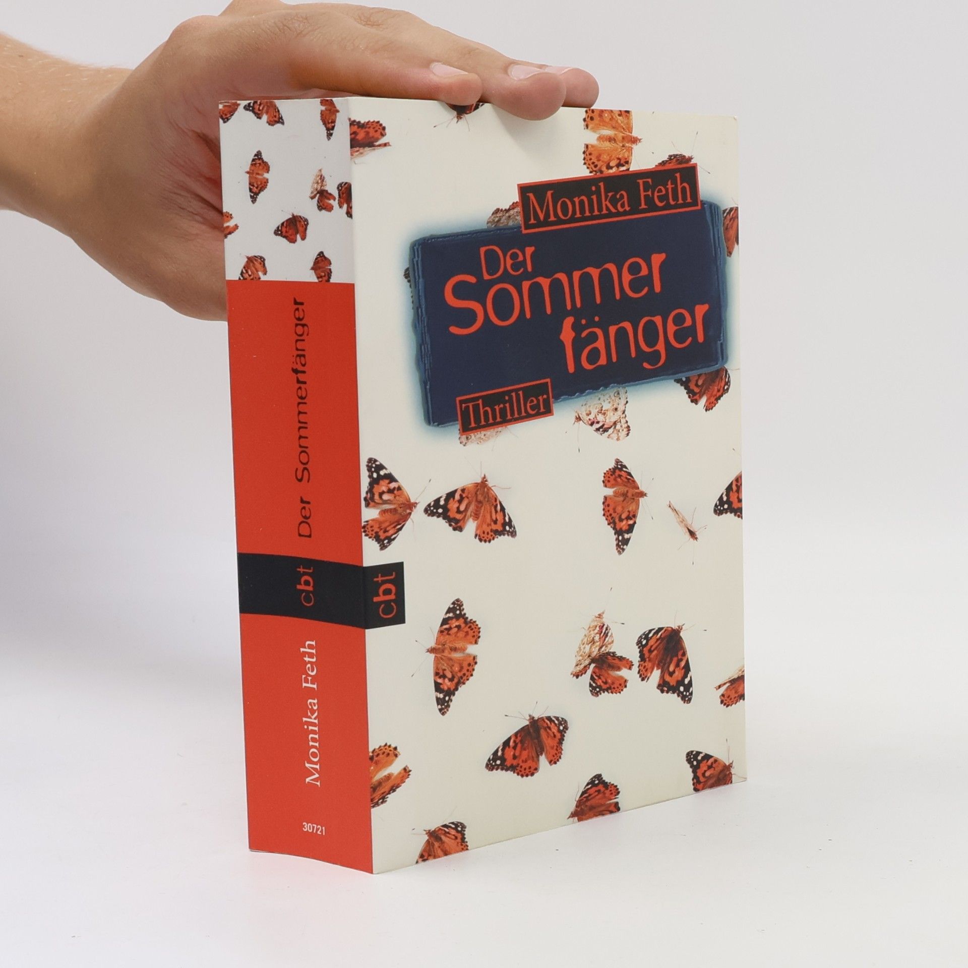 Monika Feth Der Sommerfänger
