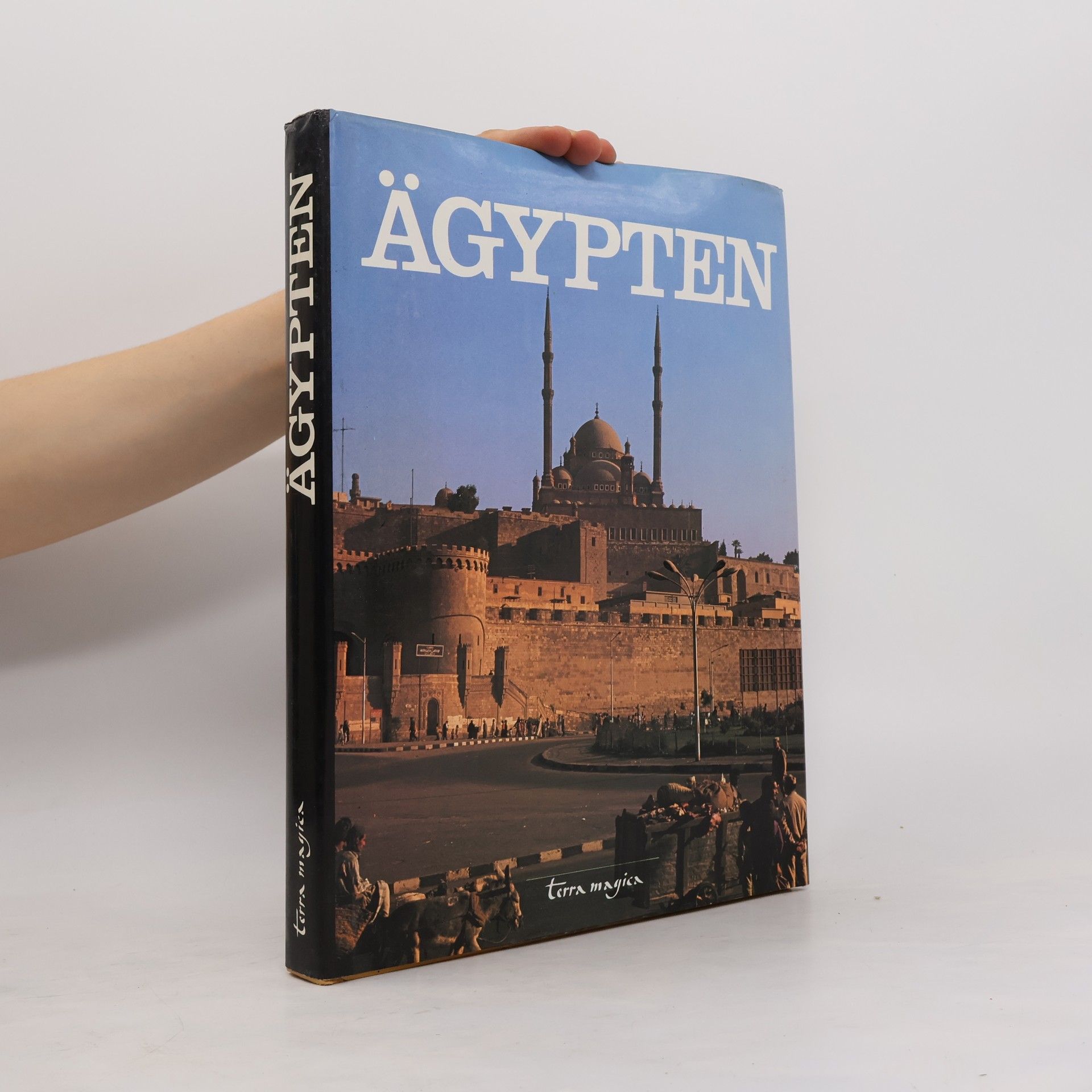 Fred J. Maroon Ägypten