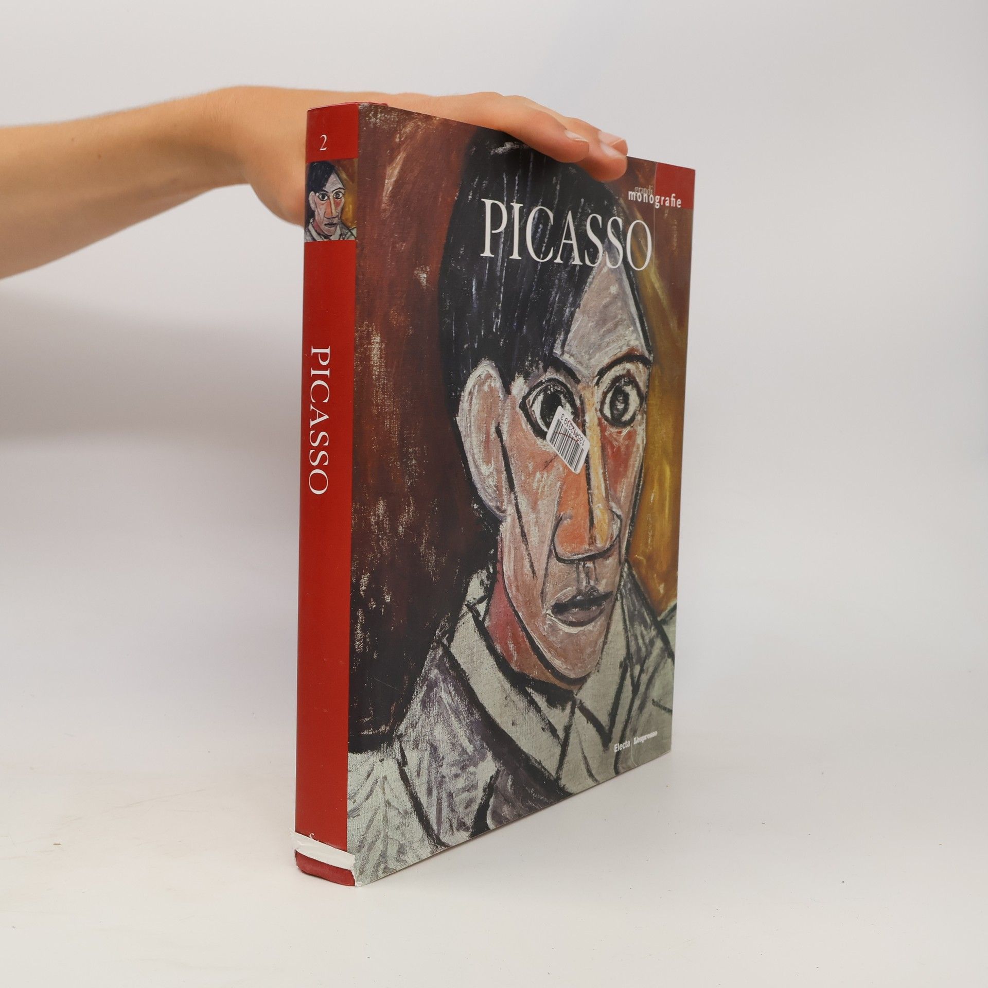 Autorenkollektiv Grandi Monografie 2. Picasso