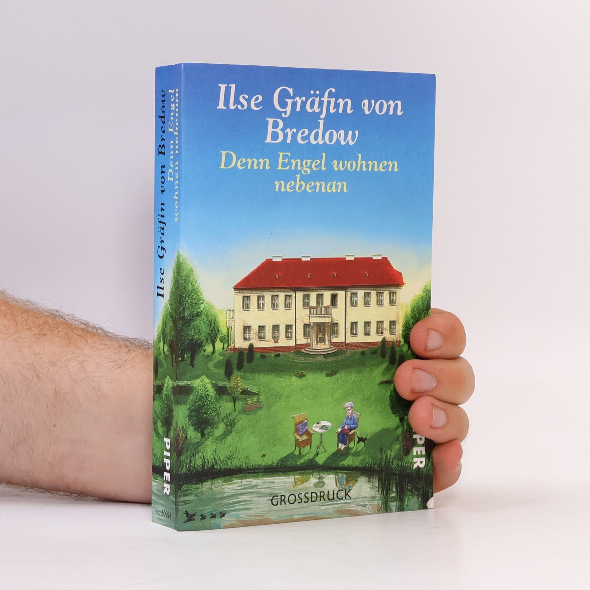 Ilse von Bredow Denn Engel wohnen nebenan
