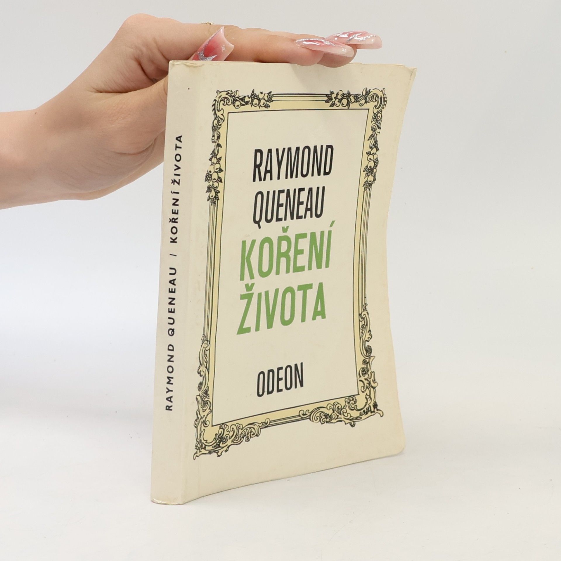 Raymond Queneau Koření života