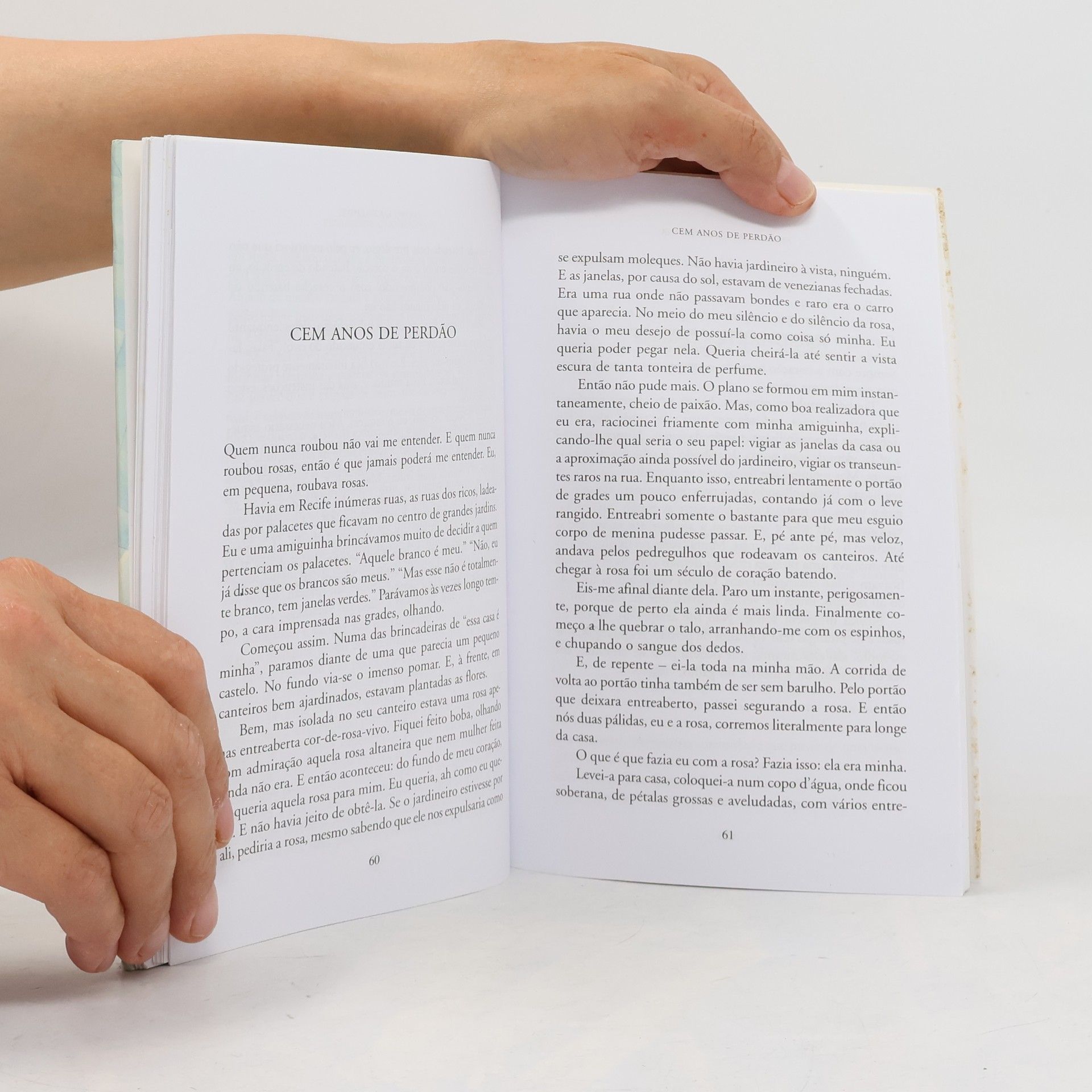 Clarice Lispector Felicidade Clandestina