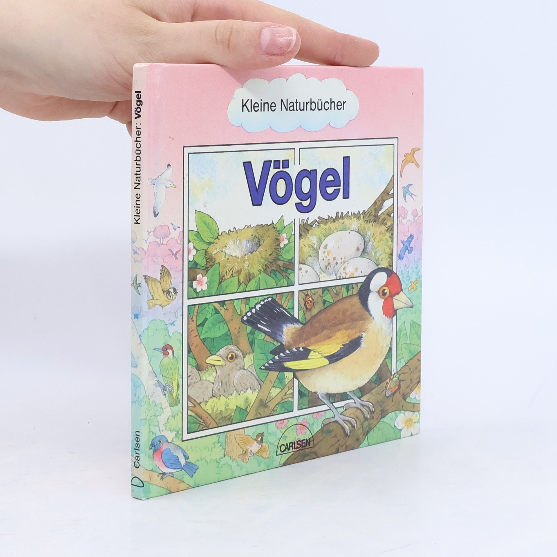 Vögel