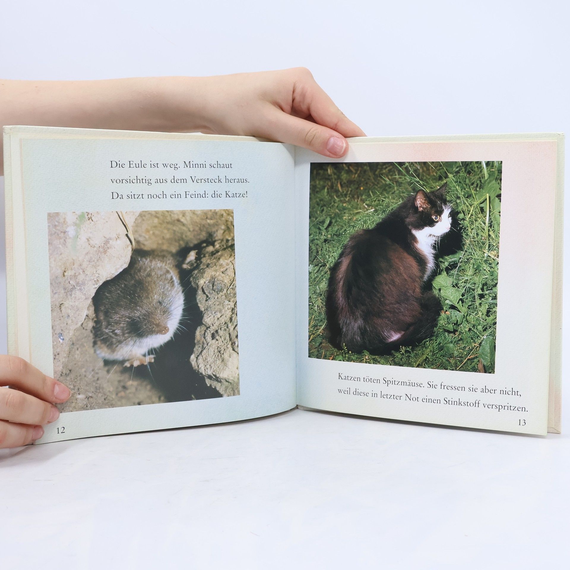 Gisela Buck Minni, die Spitzmaus