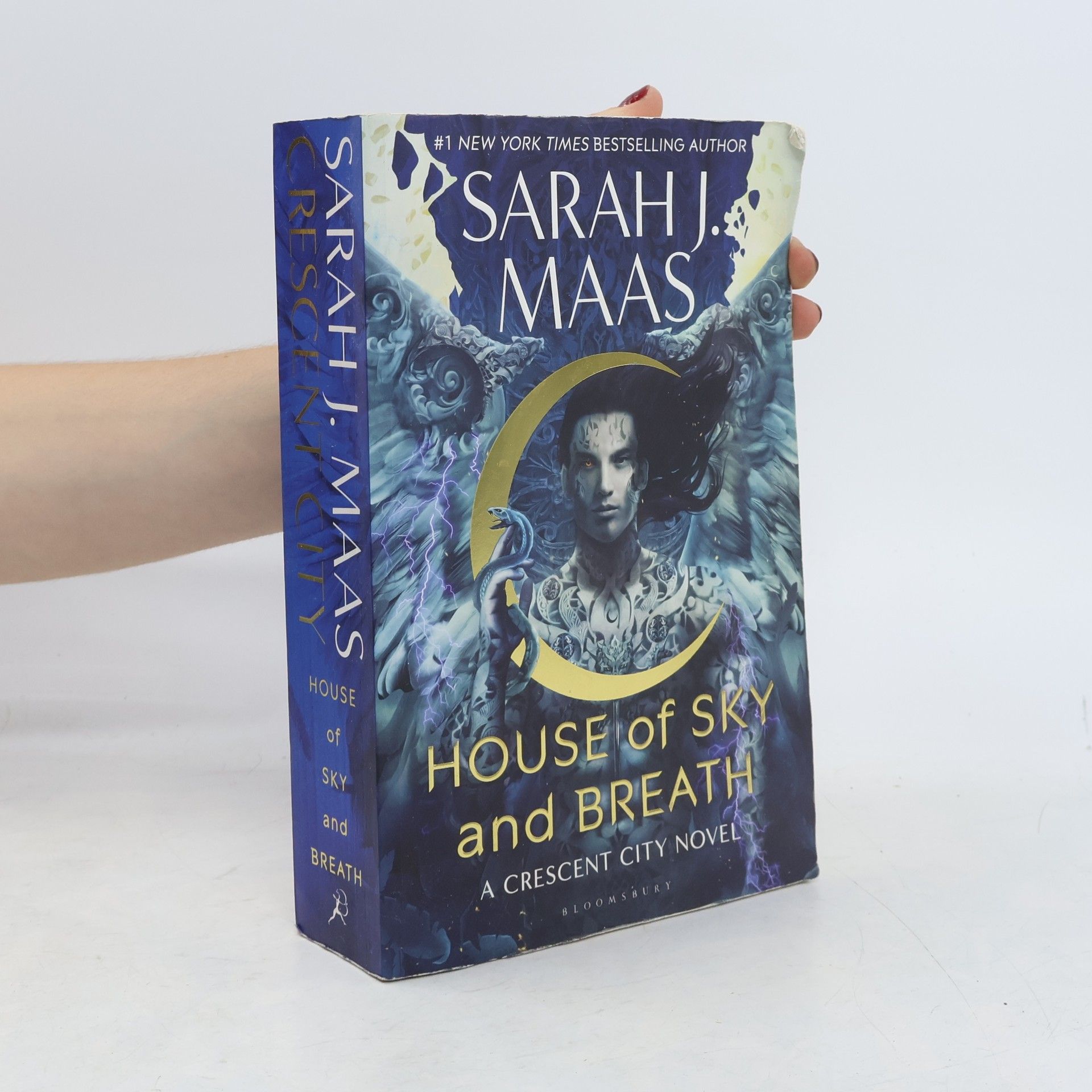 Sarah J. Maas House of sky and breath
