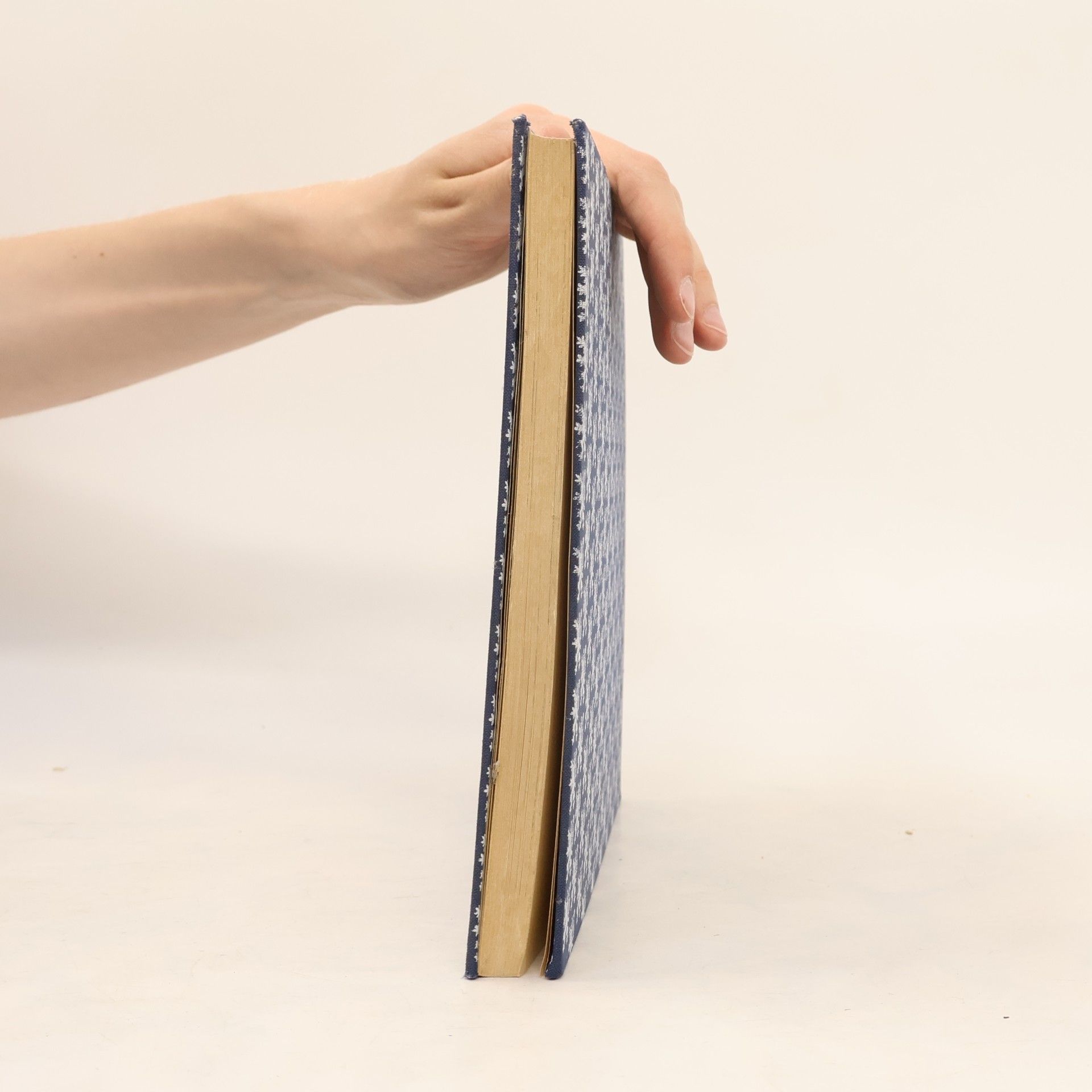 Sonja Kalina Československá kuchařka. Das Kochbuch aus der Tschechoslowakei
