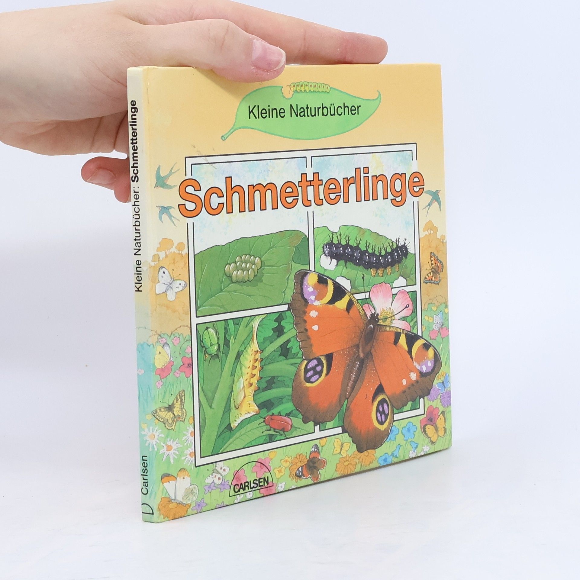 Autorenkollektiv Schmetterlinge