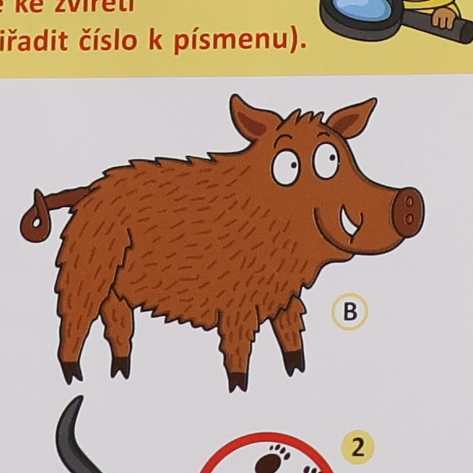Stanislava Reschová Kdo ukradl zelí?
