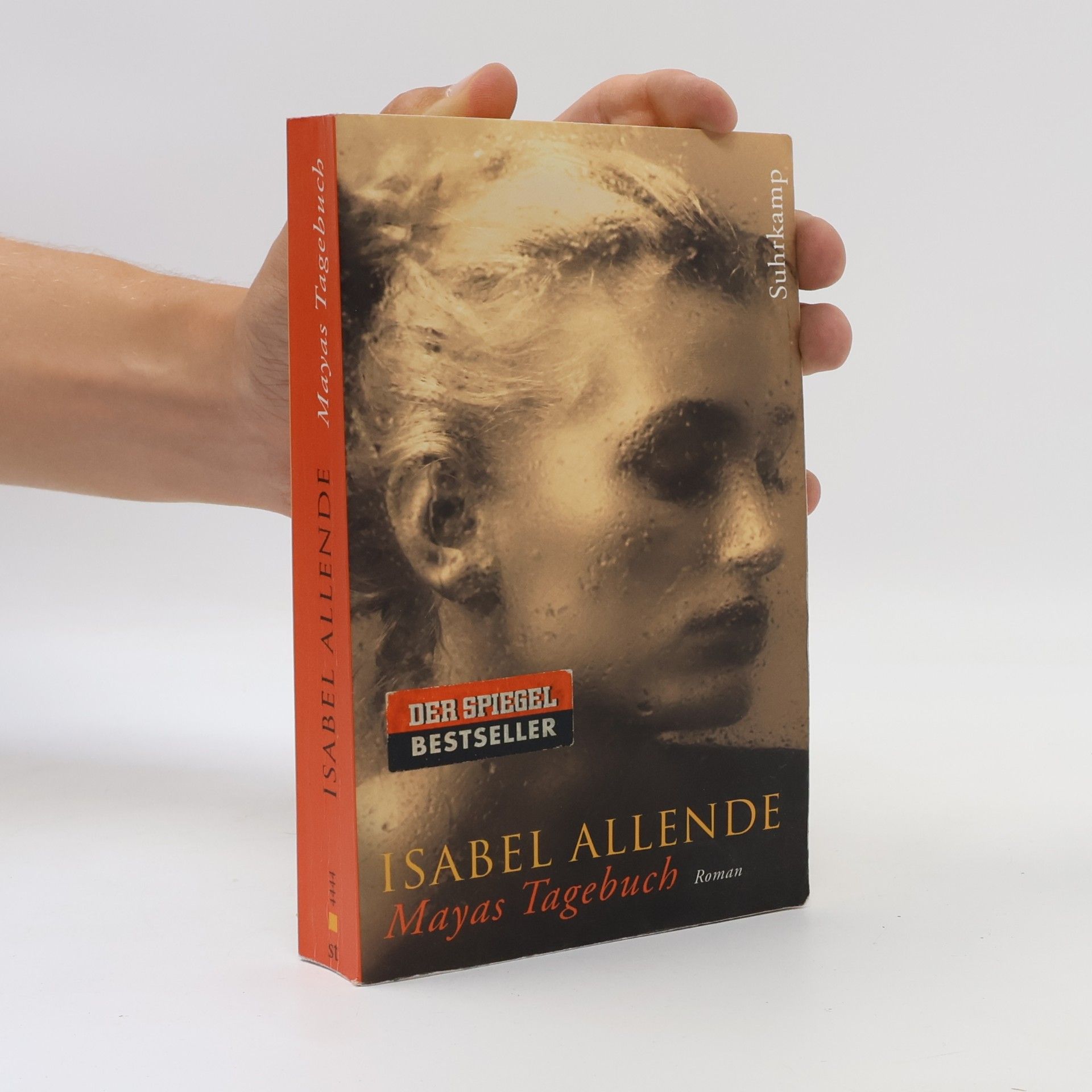 Isabel Allende Mayas Tagebuch