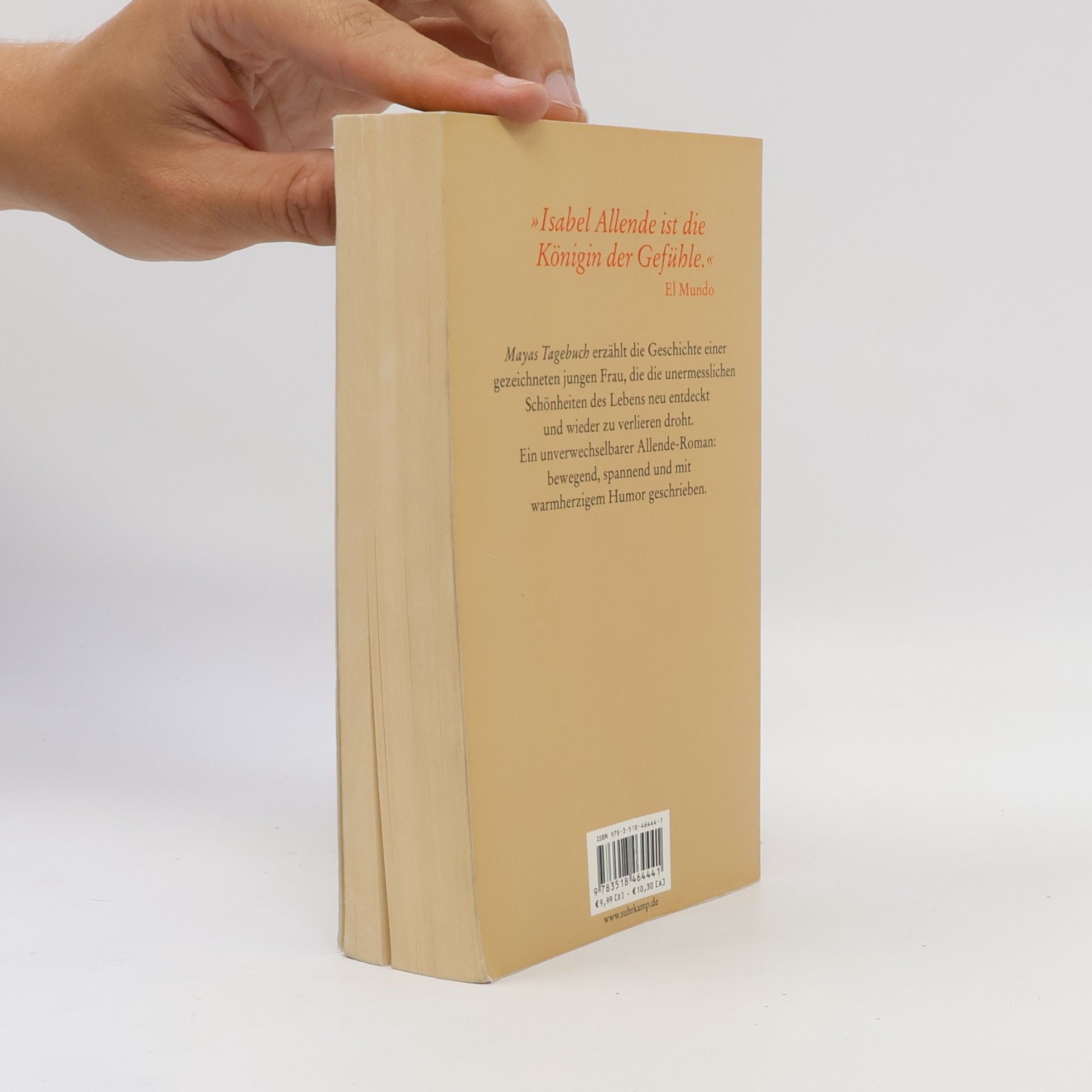 Isabel Allende Mayas Tagebuch