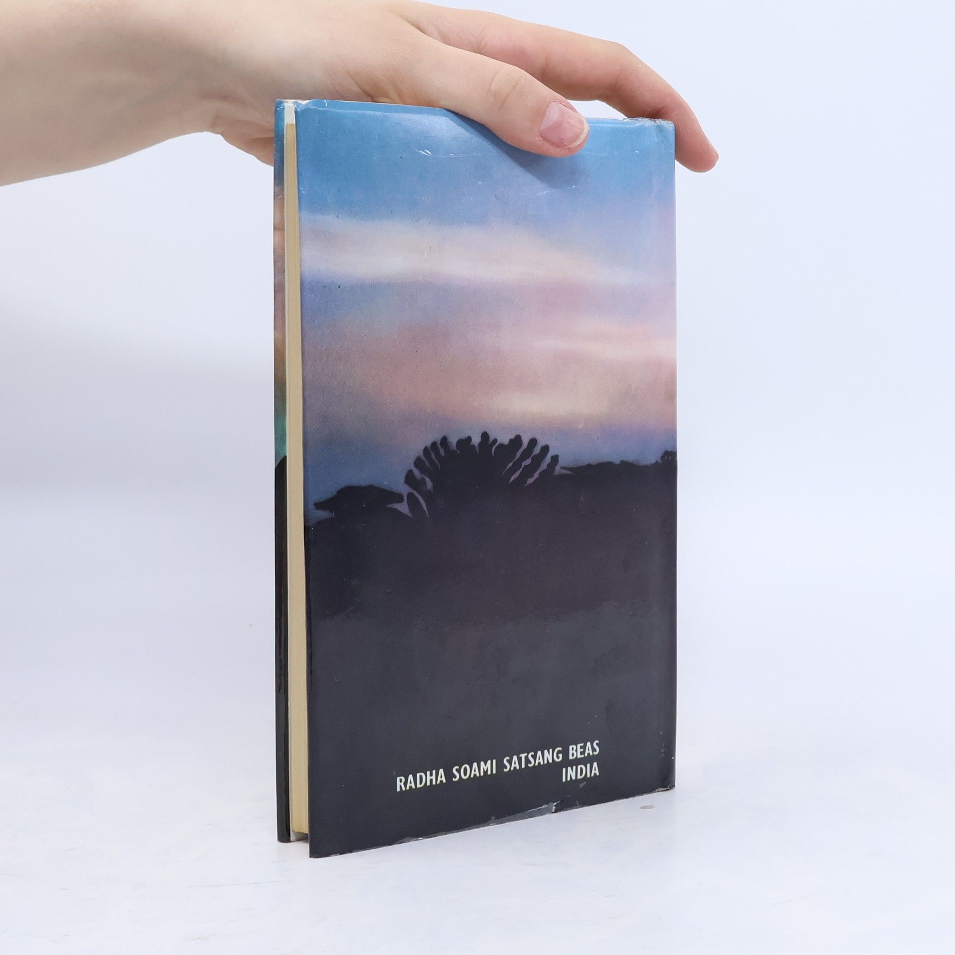 Netta Pfeier A Souls Safari