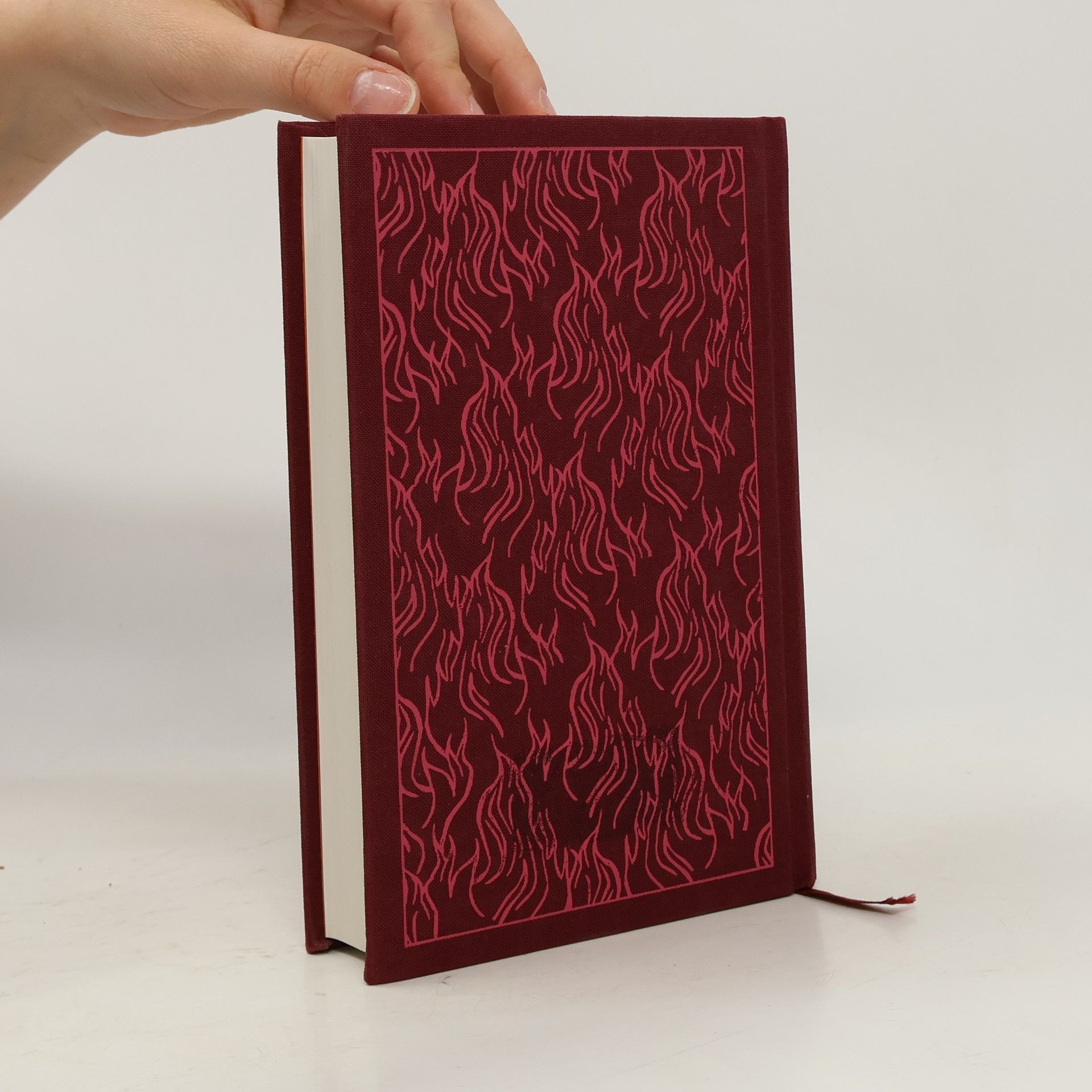 Homér The Iliad. Ilias, englische Ausgabe