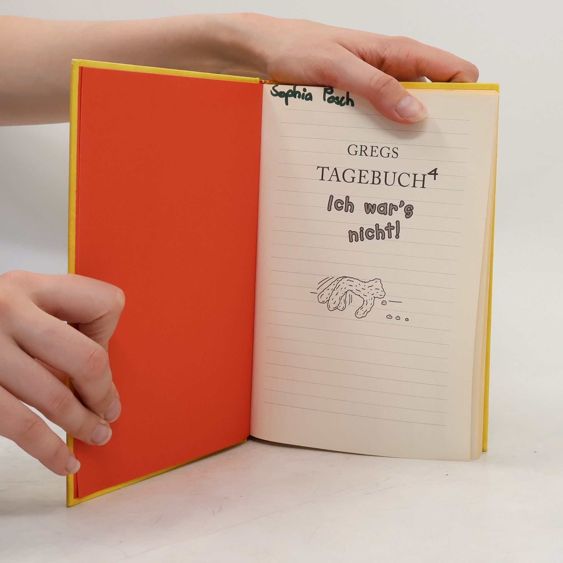 Jeff Kinney Gregs Tagebuch 4. Ich war's nicht!