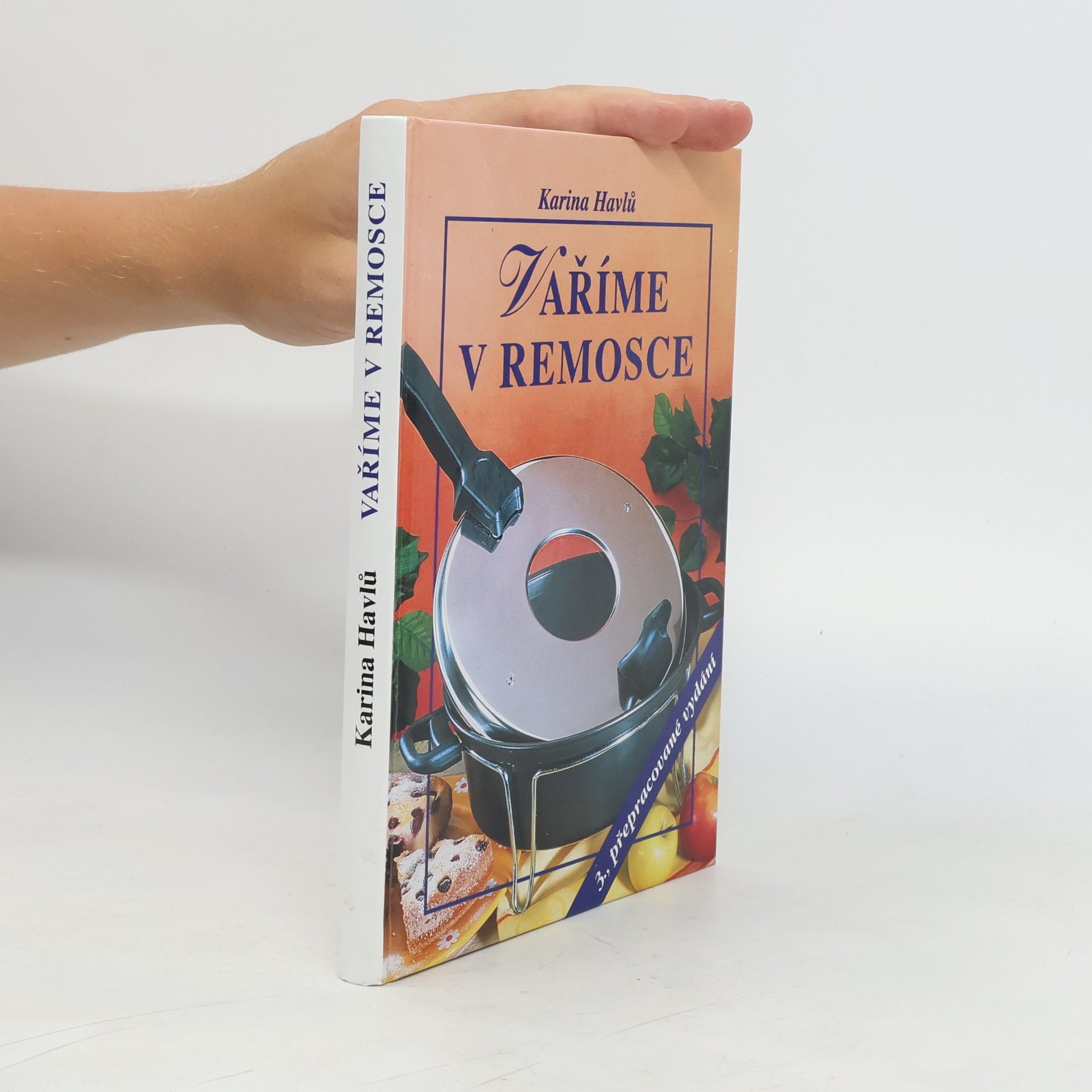 Karina Havlů Vaříme v remosce