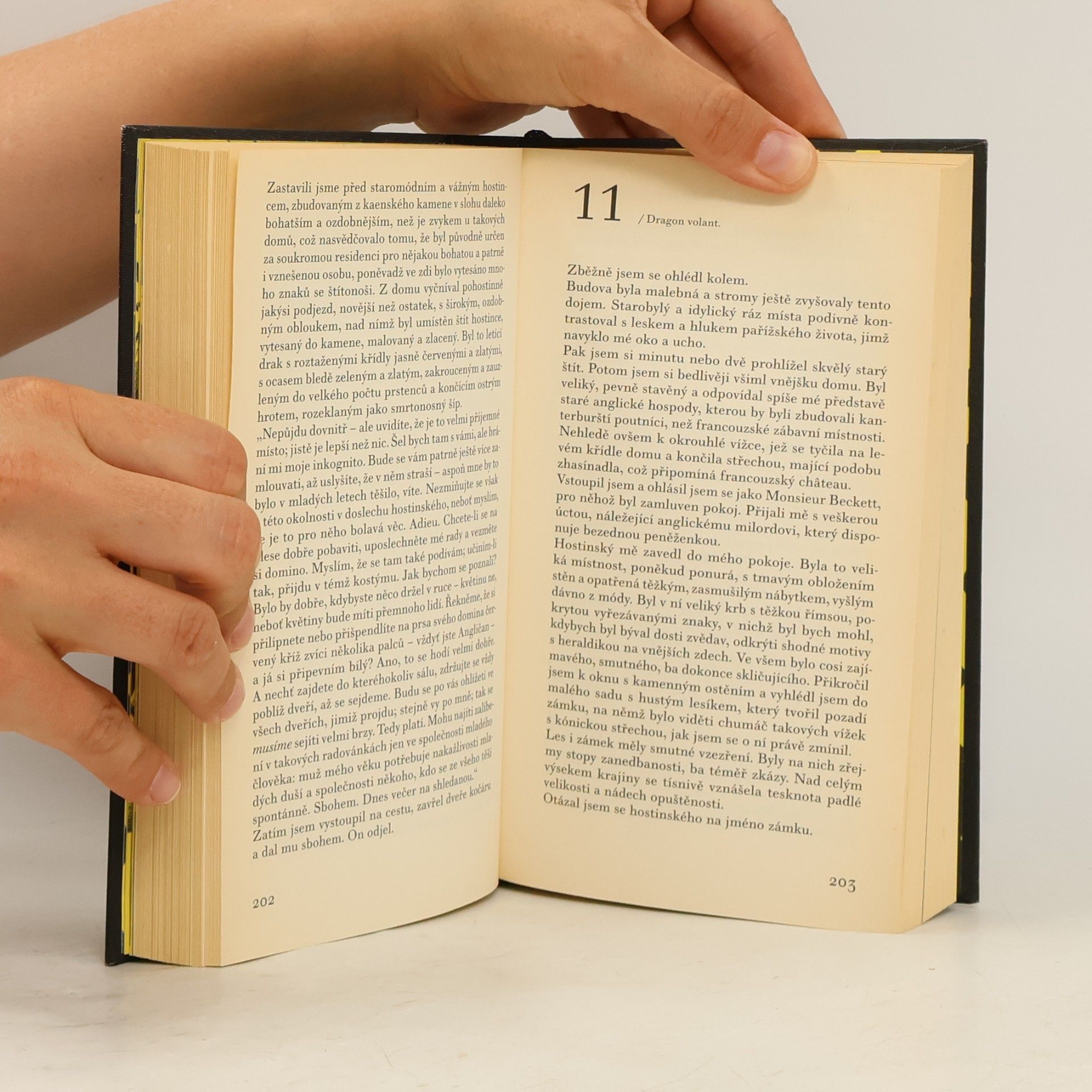 Sheridan Le Fanu V temném zrcadle