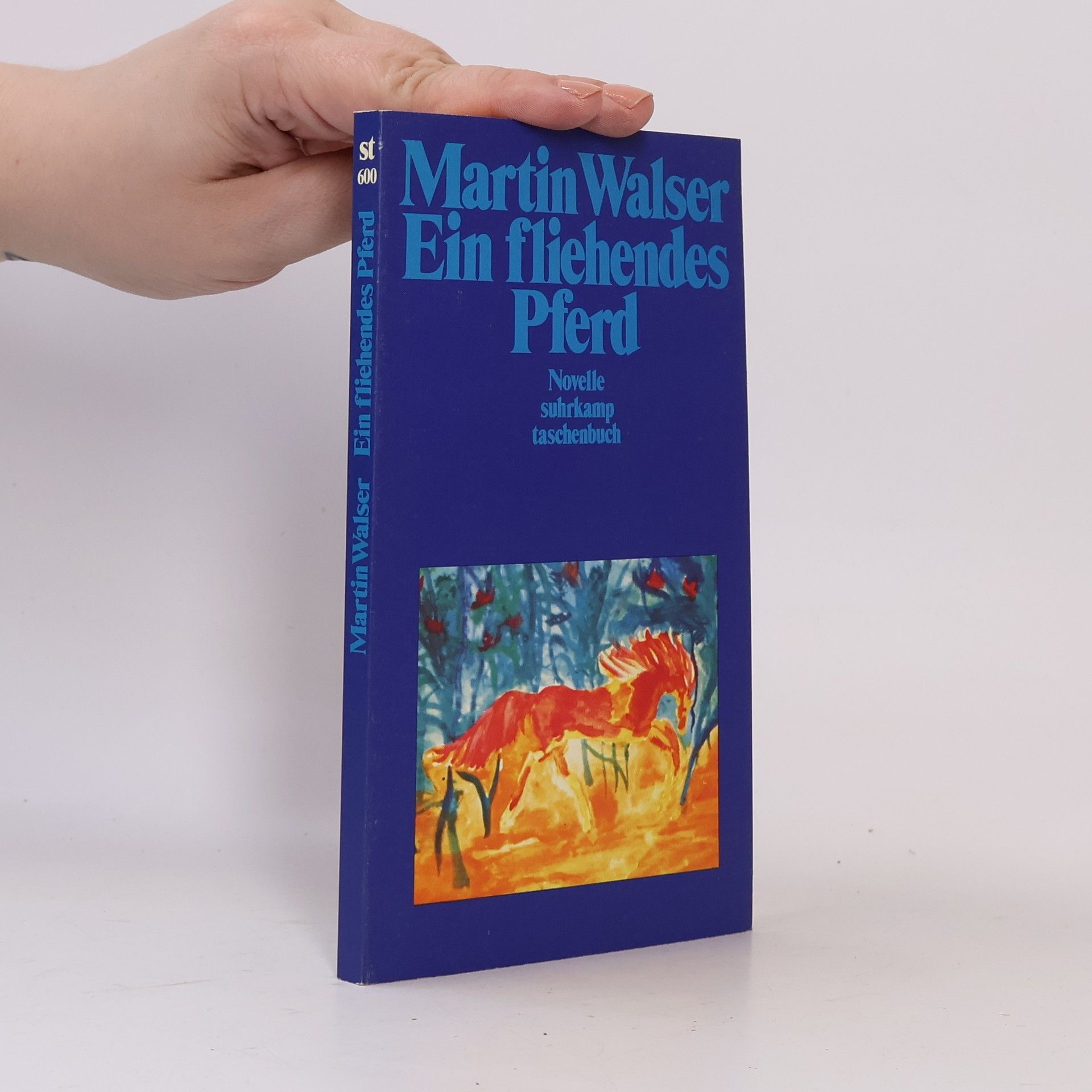 Martin Walser Ein fliehendes Pferd