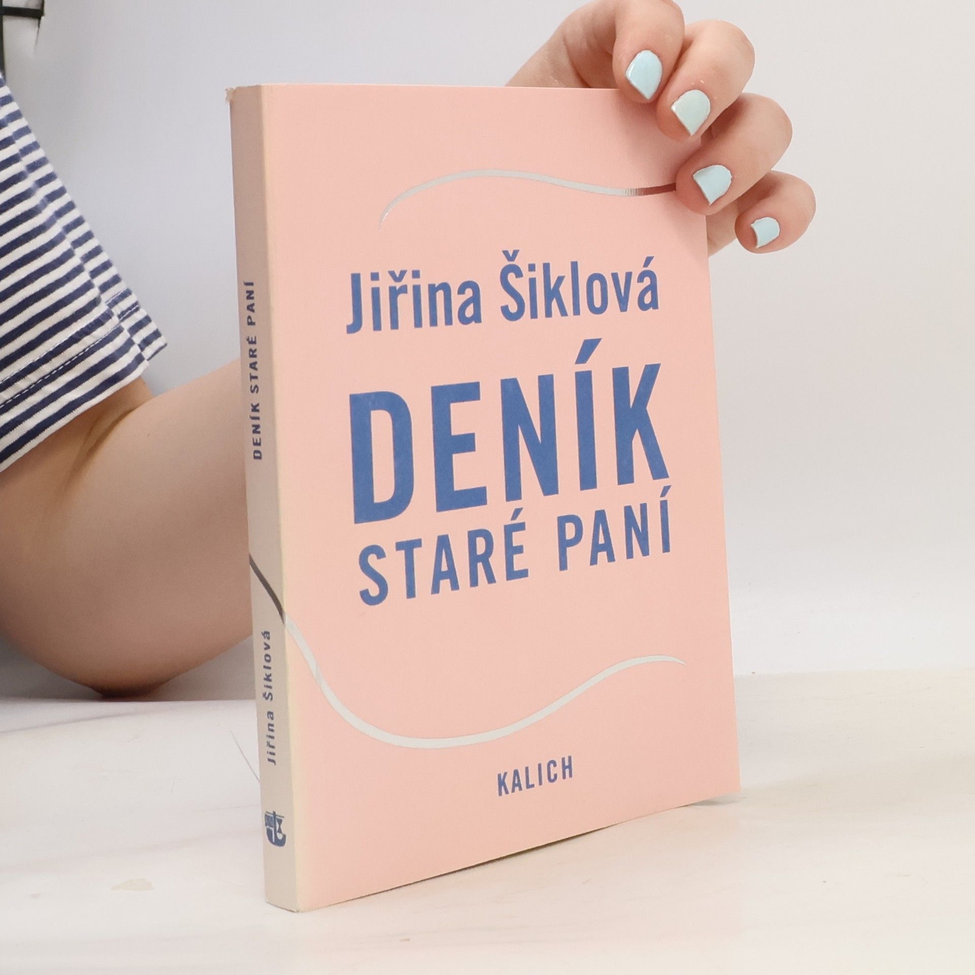 Jiřina Šiklová Deník staré paní
