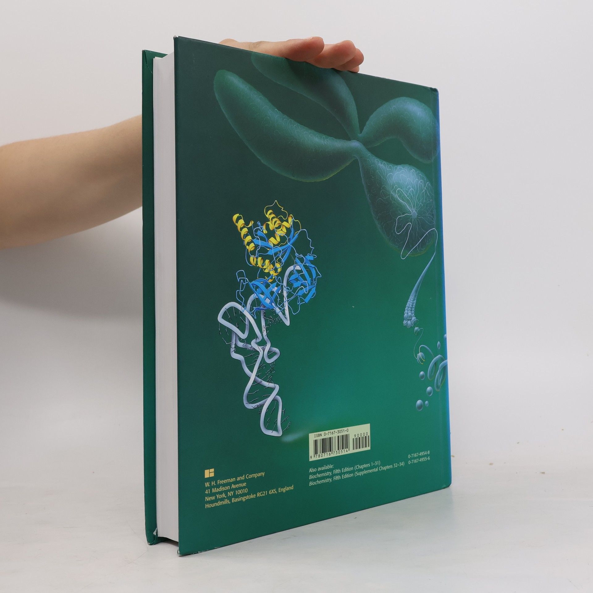 Jeremy Mark Berg Biochemistry